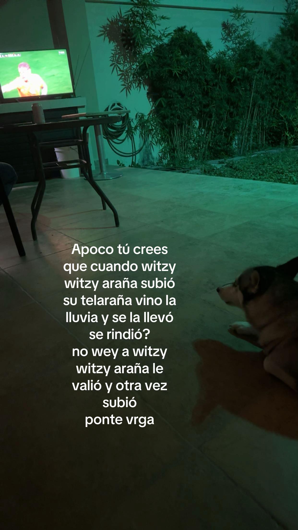 @patata