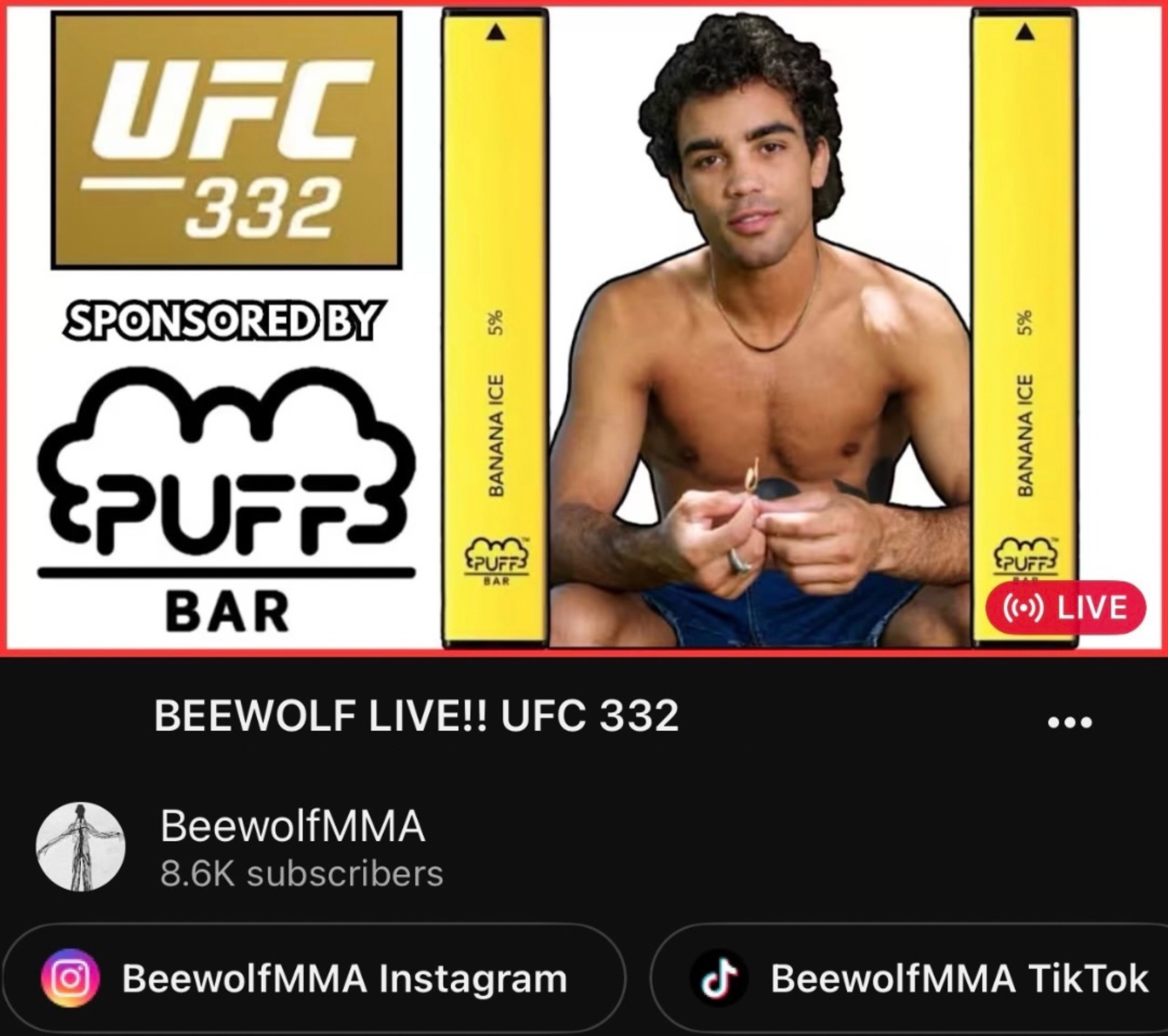 @BeewolfMMA