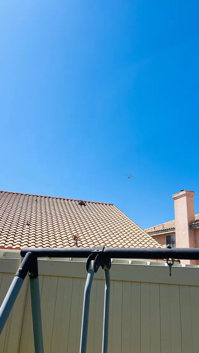 @Angel 😇