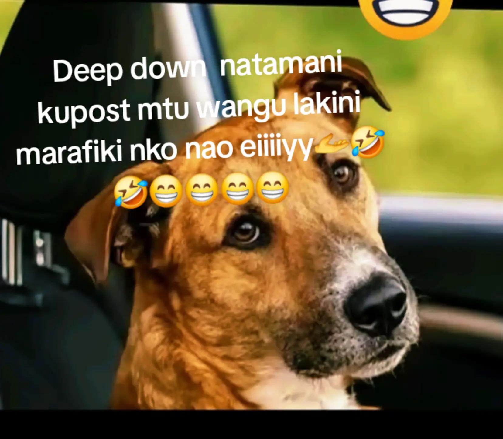 @MILLY. DULCY