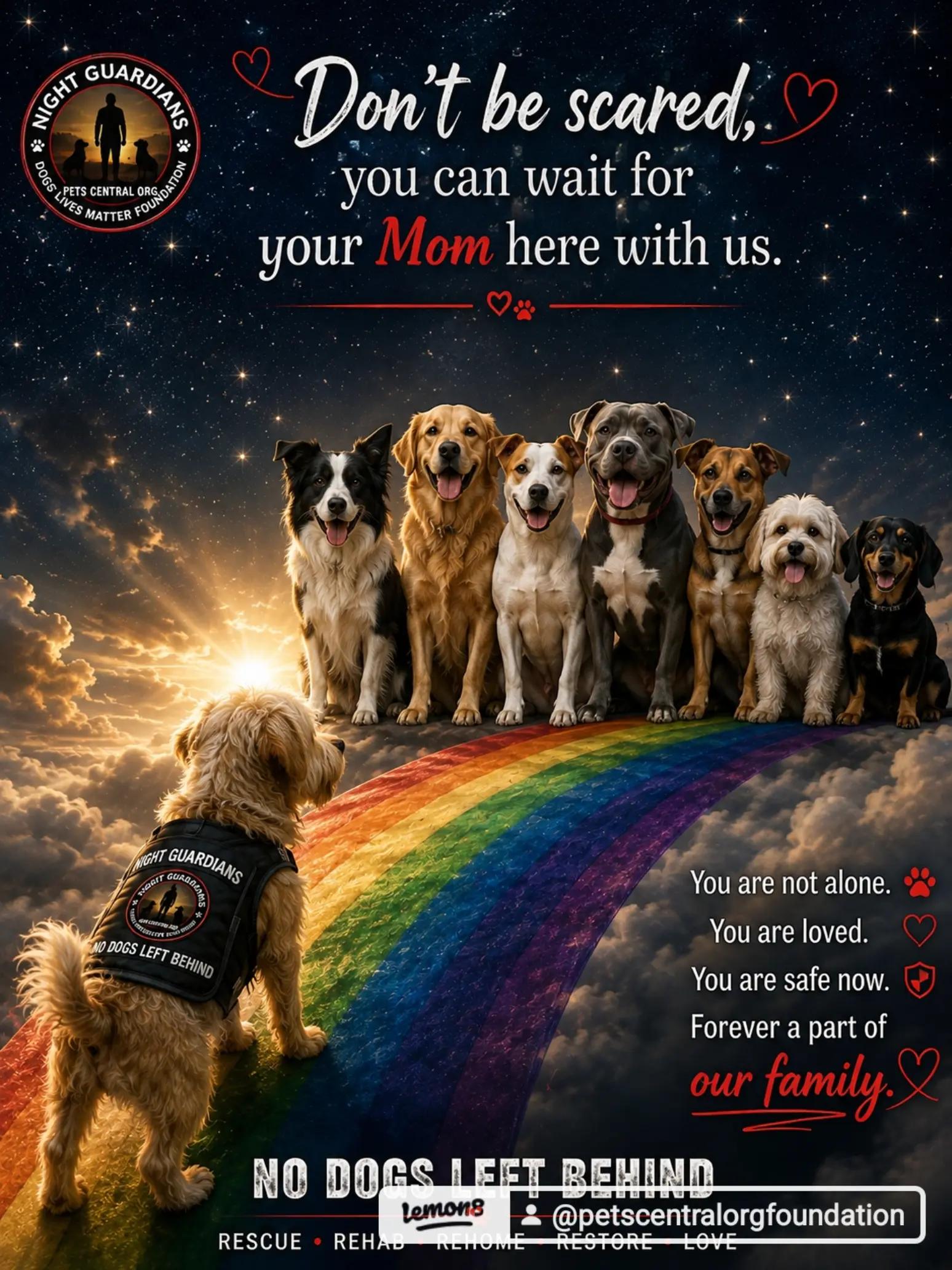 @Petscentralorg DLM Foundation
