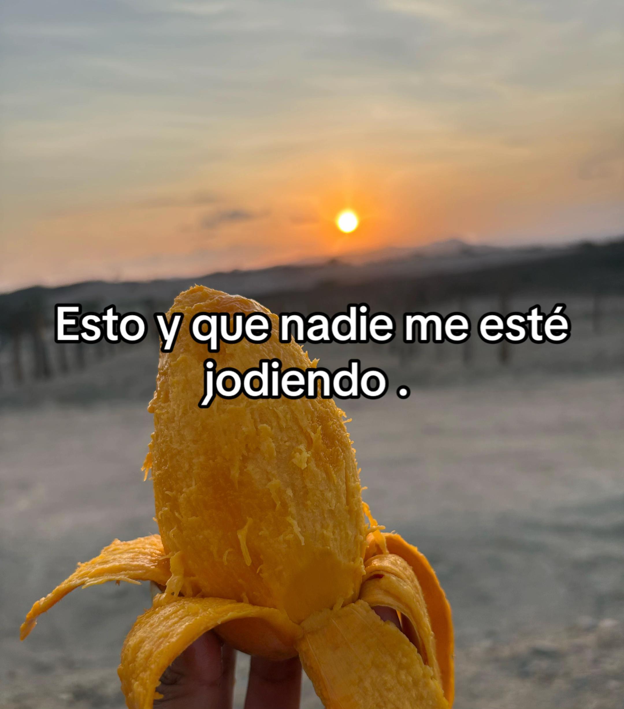 @Maciel 🫀