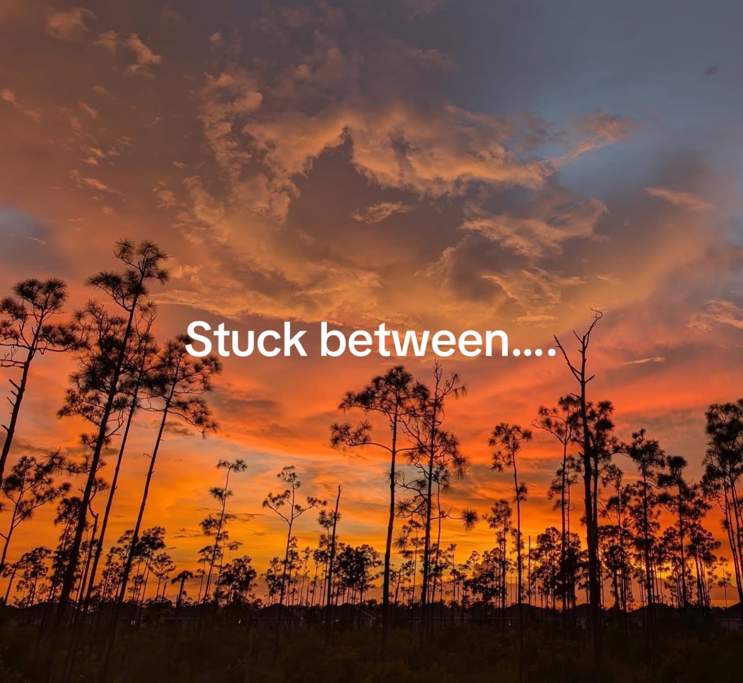 @Sabbaru