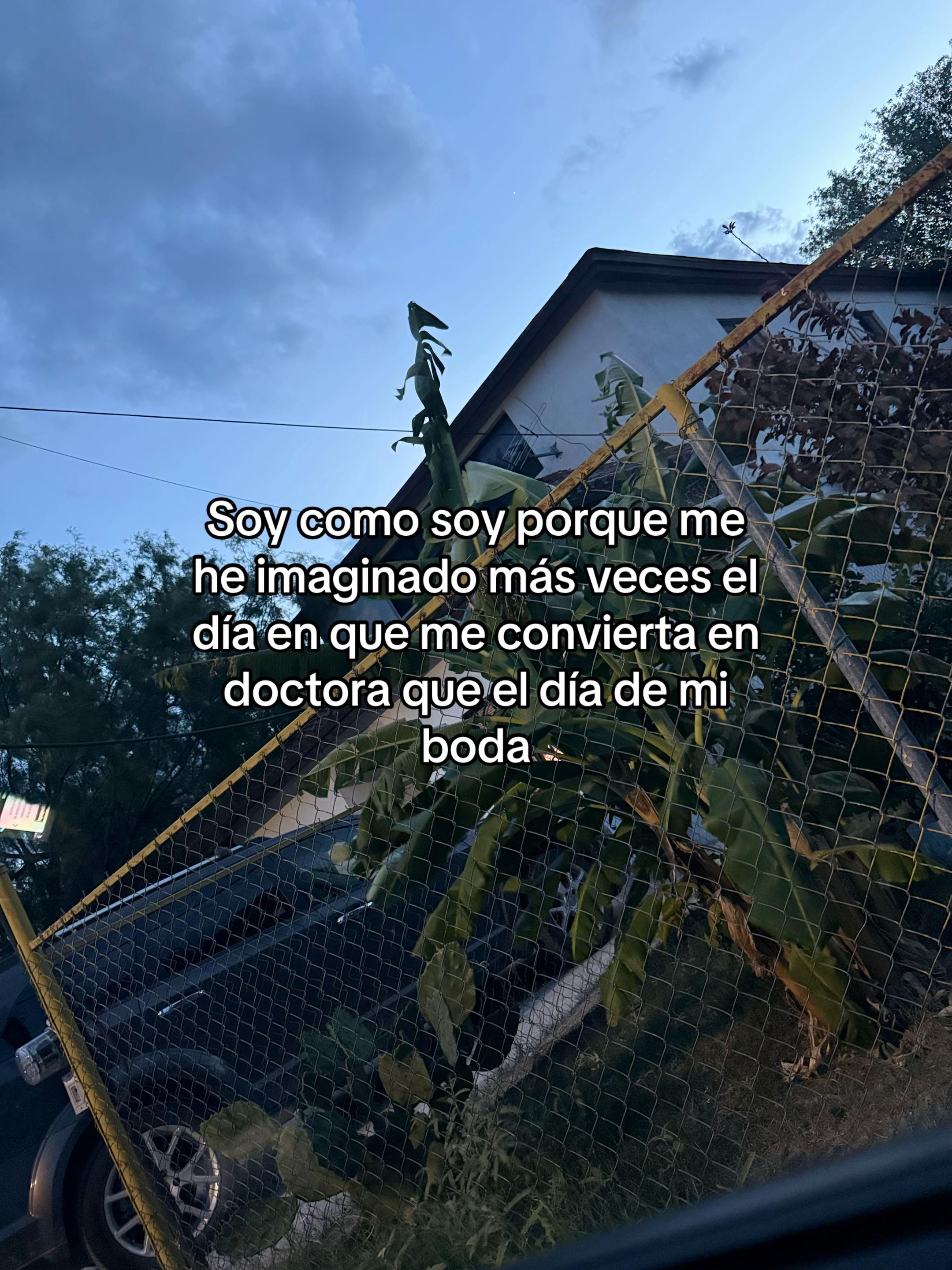 @𓍢ִ໋🌷͙֒