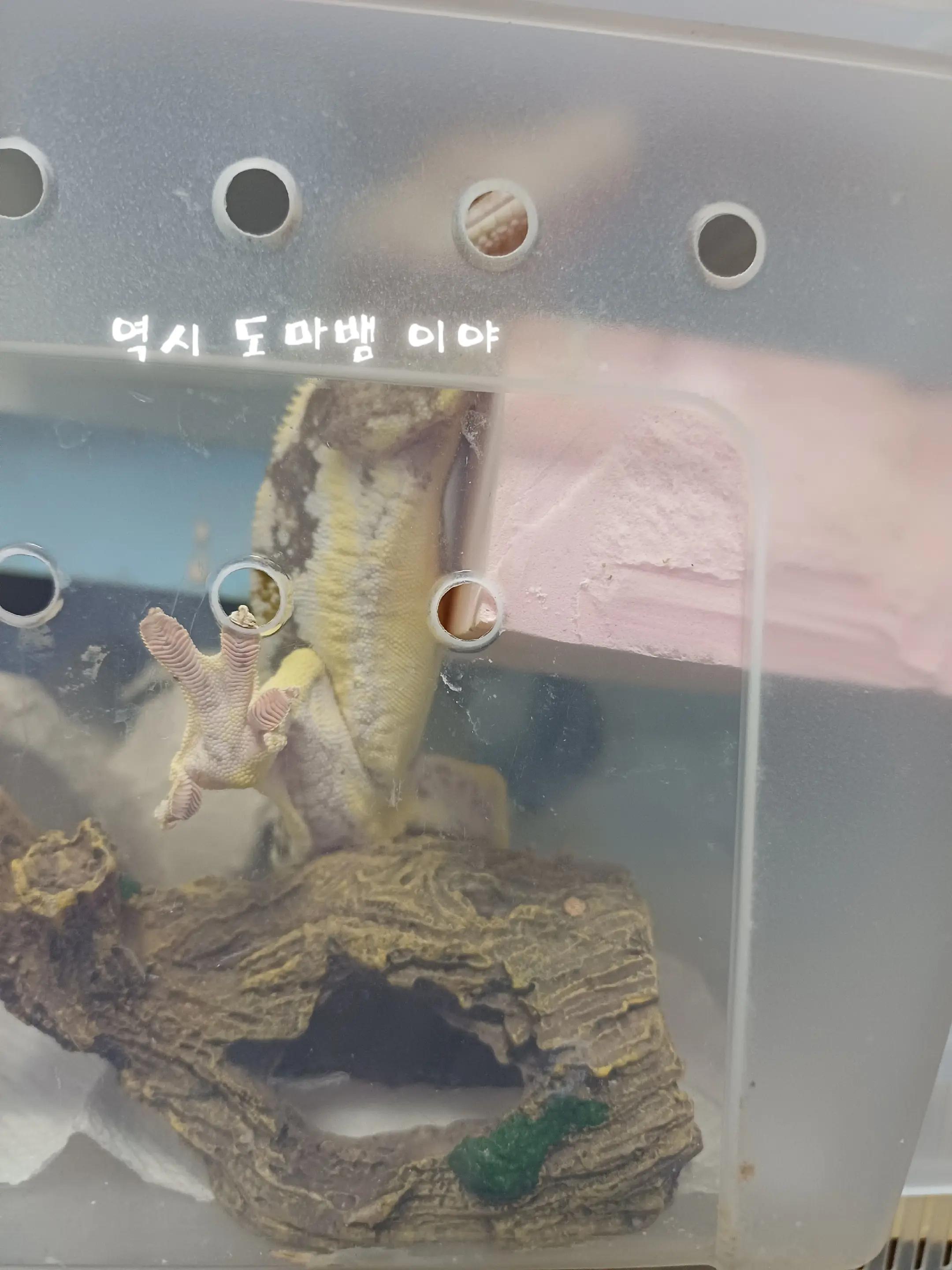 @나의 갓생 사는 동물 스토리