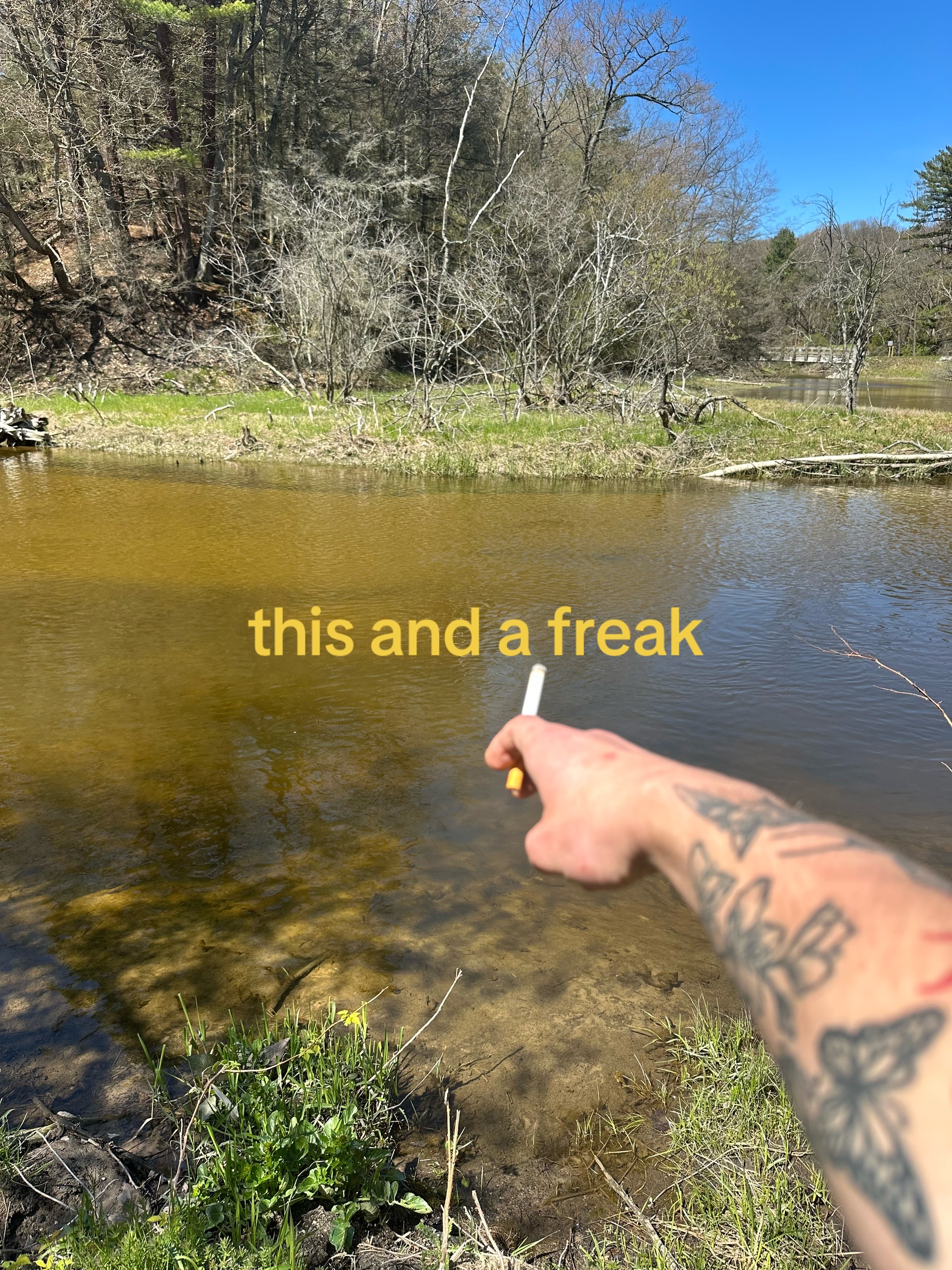 @Finneas