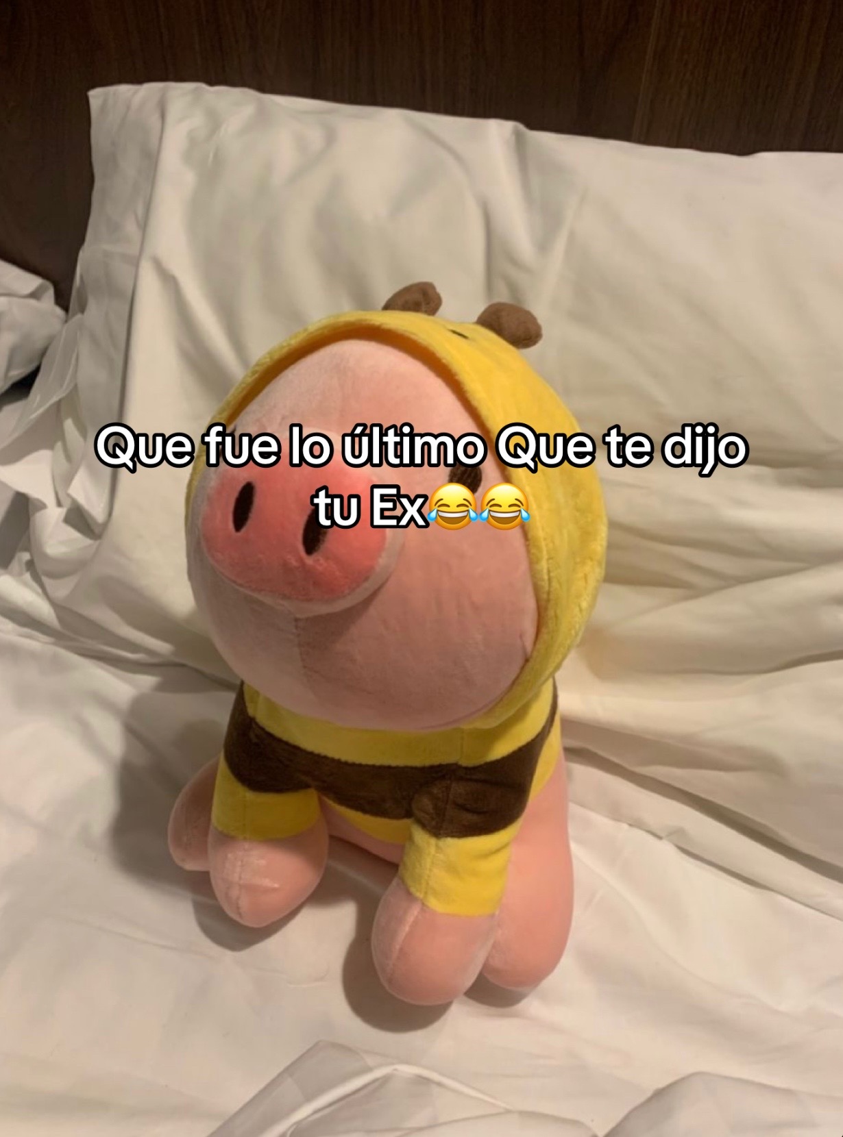 @𝒜𝓁ℯ❤️🩹.