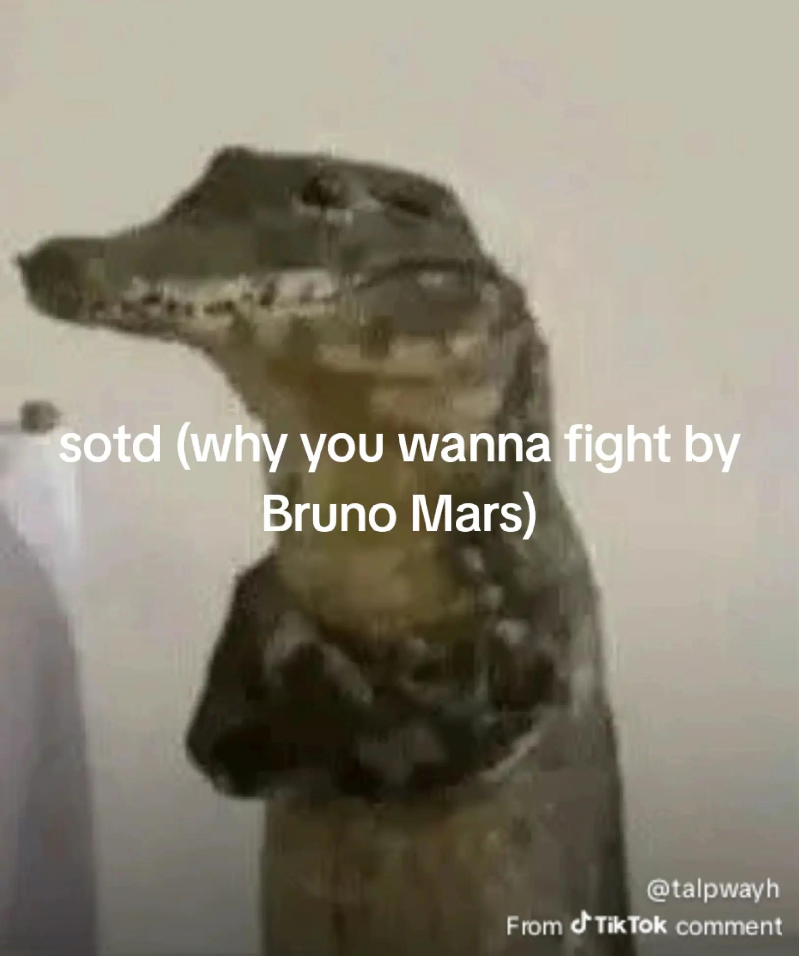 @MonkeyB01