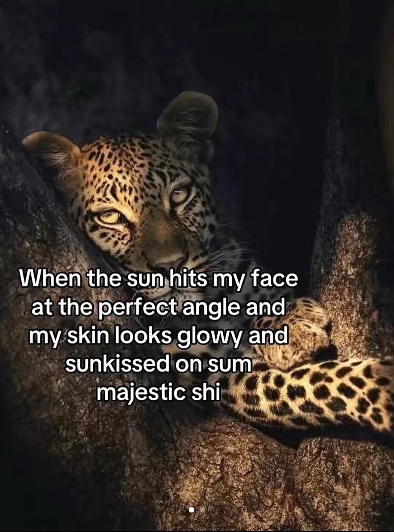 @❦