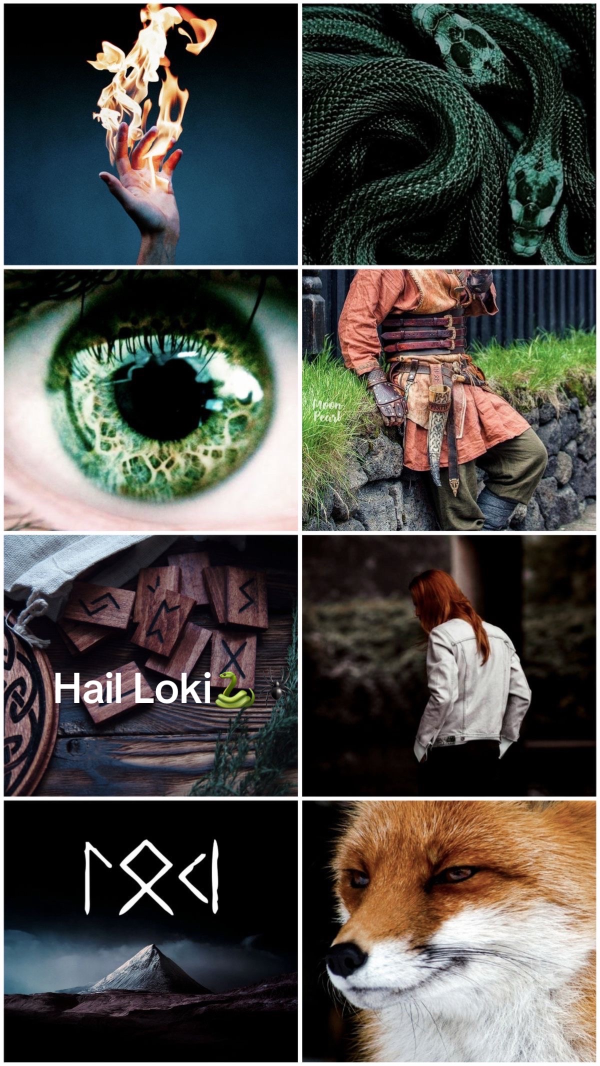 @SonOfLoki🐍🕷️