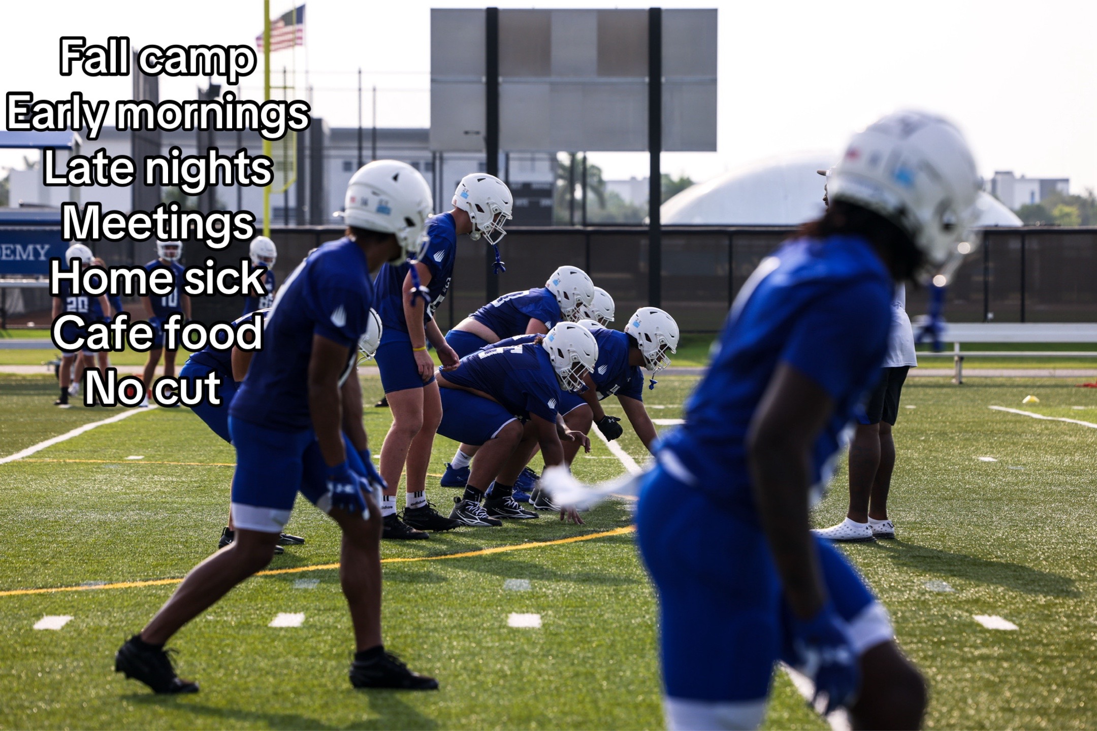 @nelversee