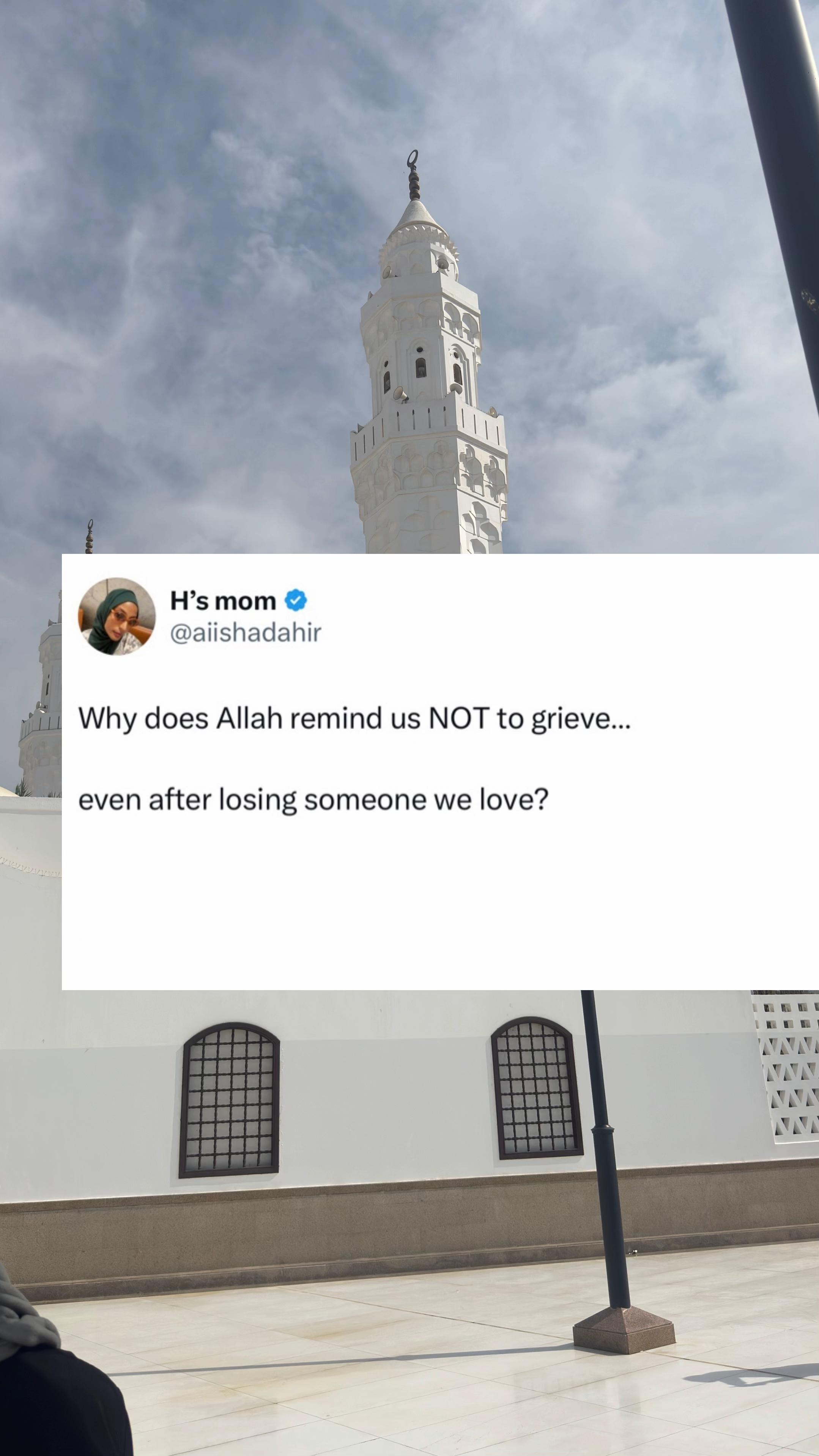 @Aisha Dahir