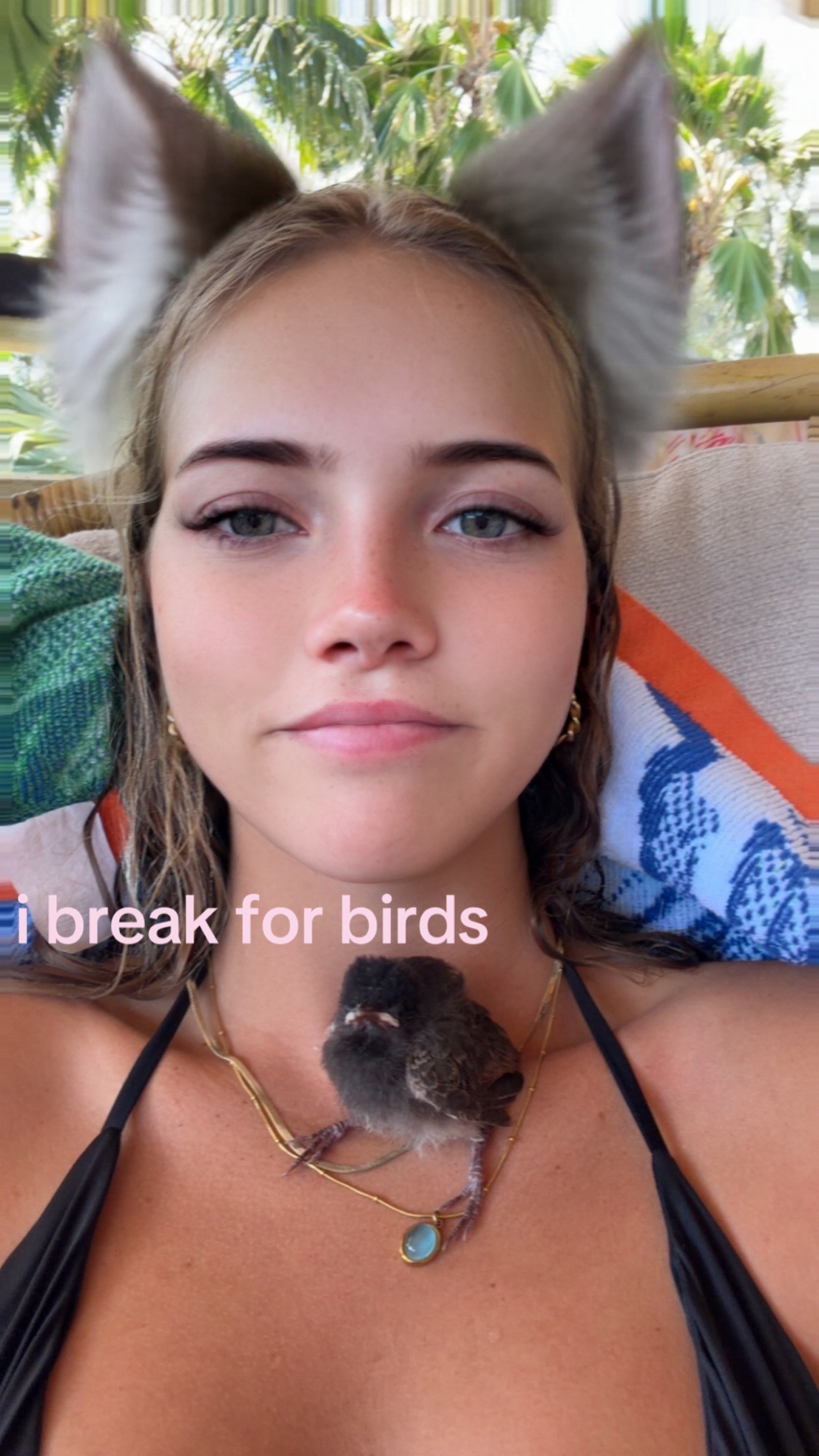 @Serena 🐒