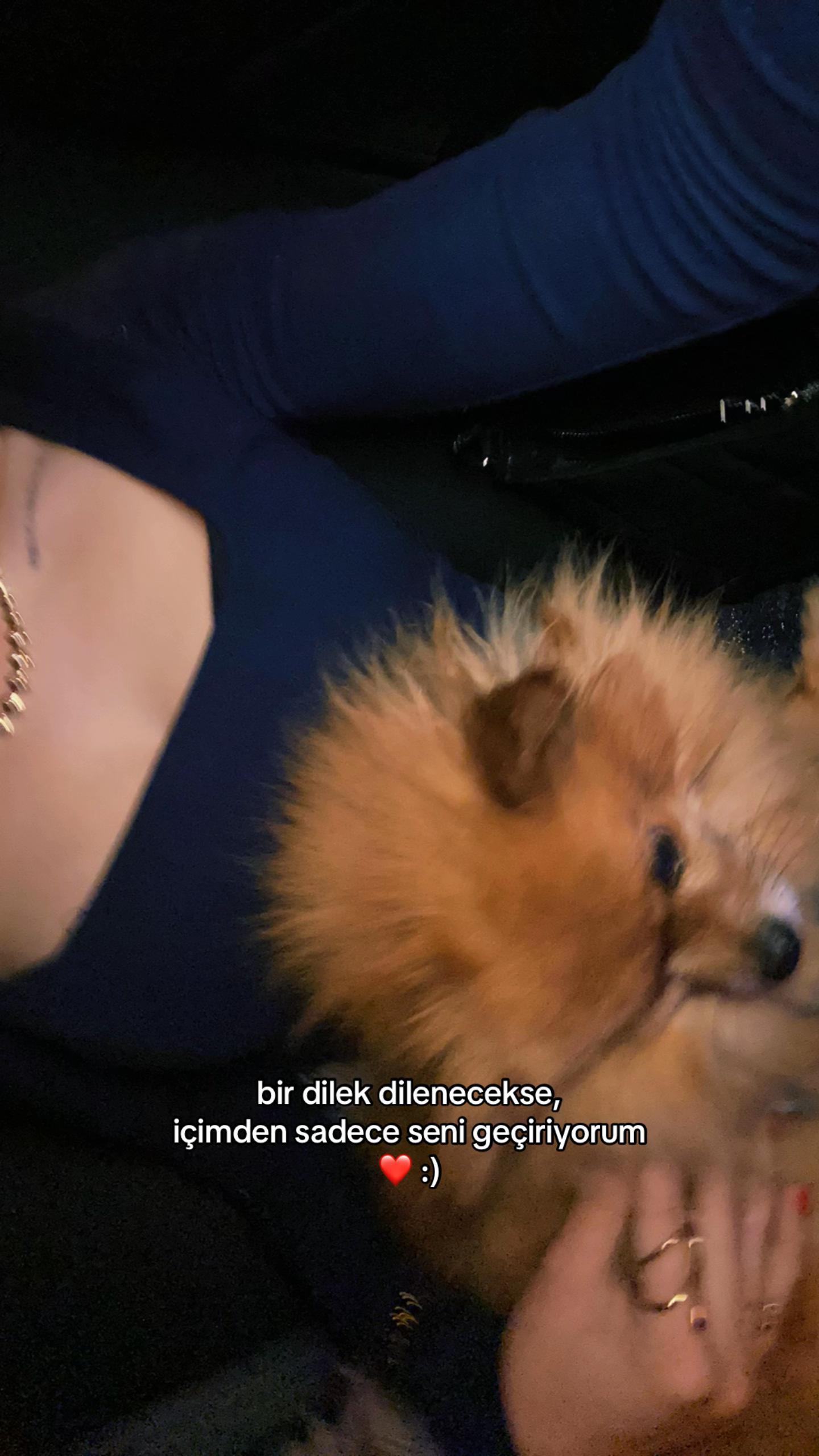 @Havva Kumral