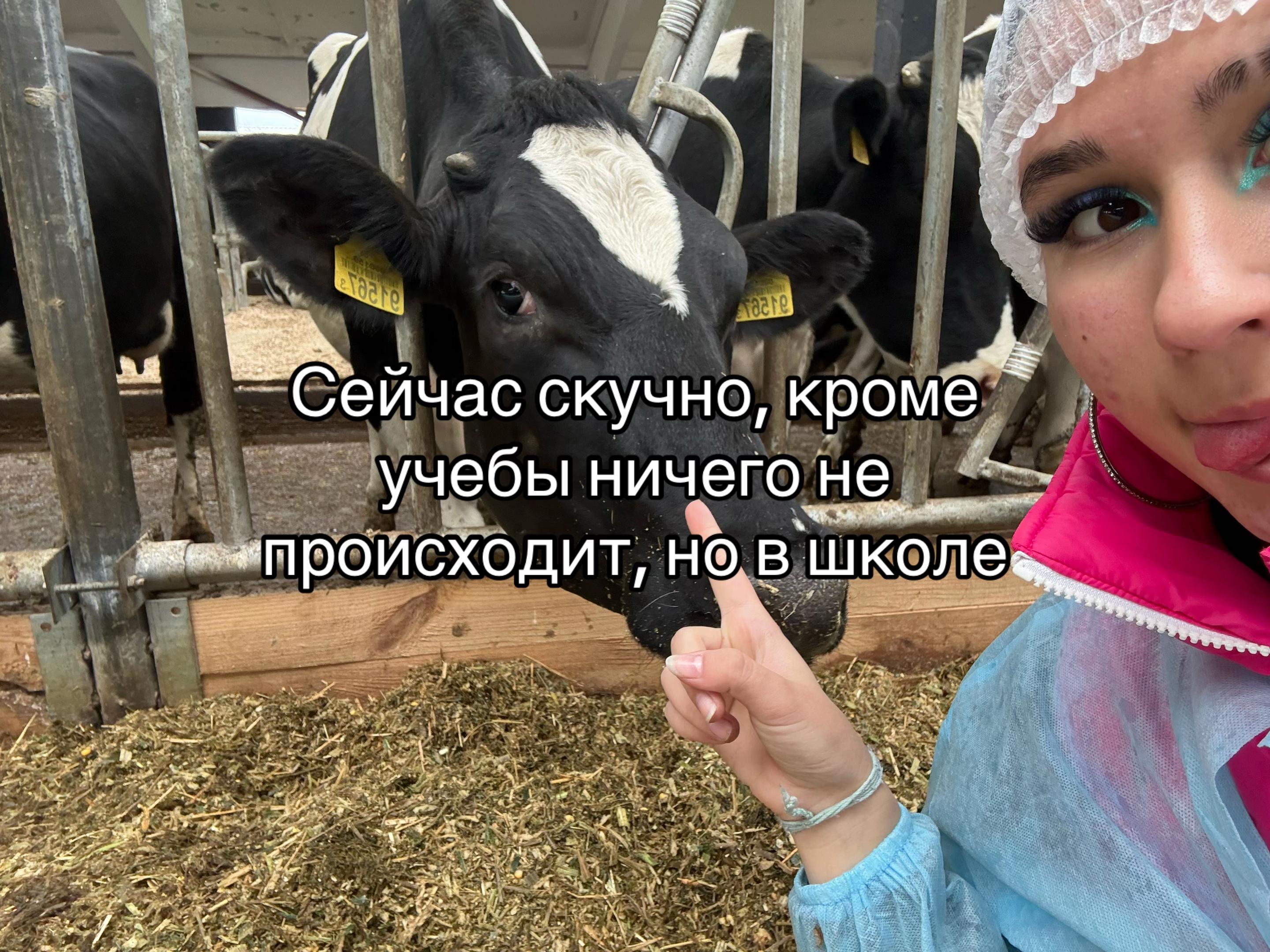 @Shoo