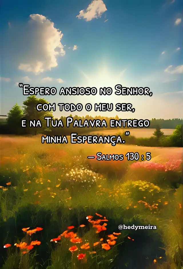 @Meiraofc
