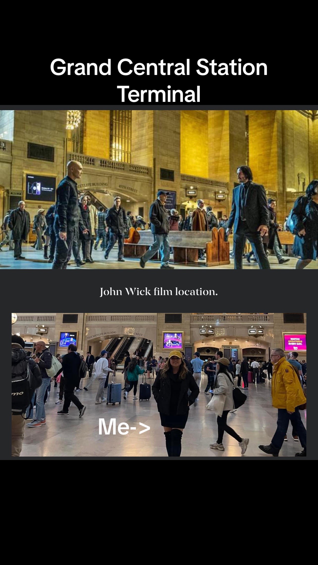 @Traveling Realtor
