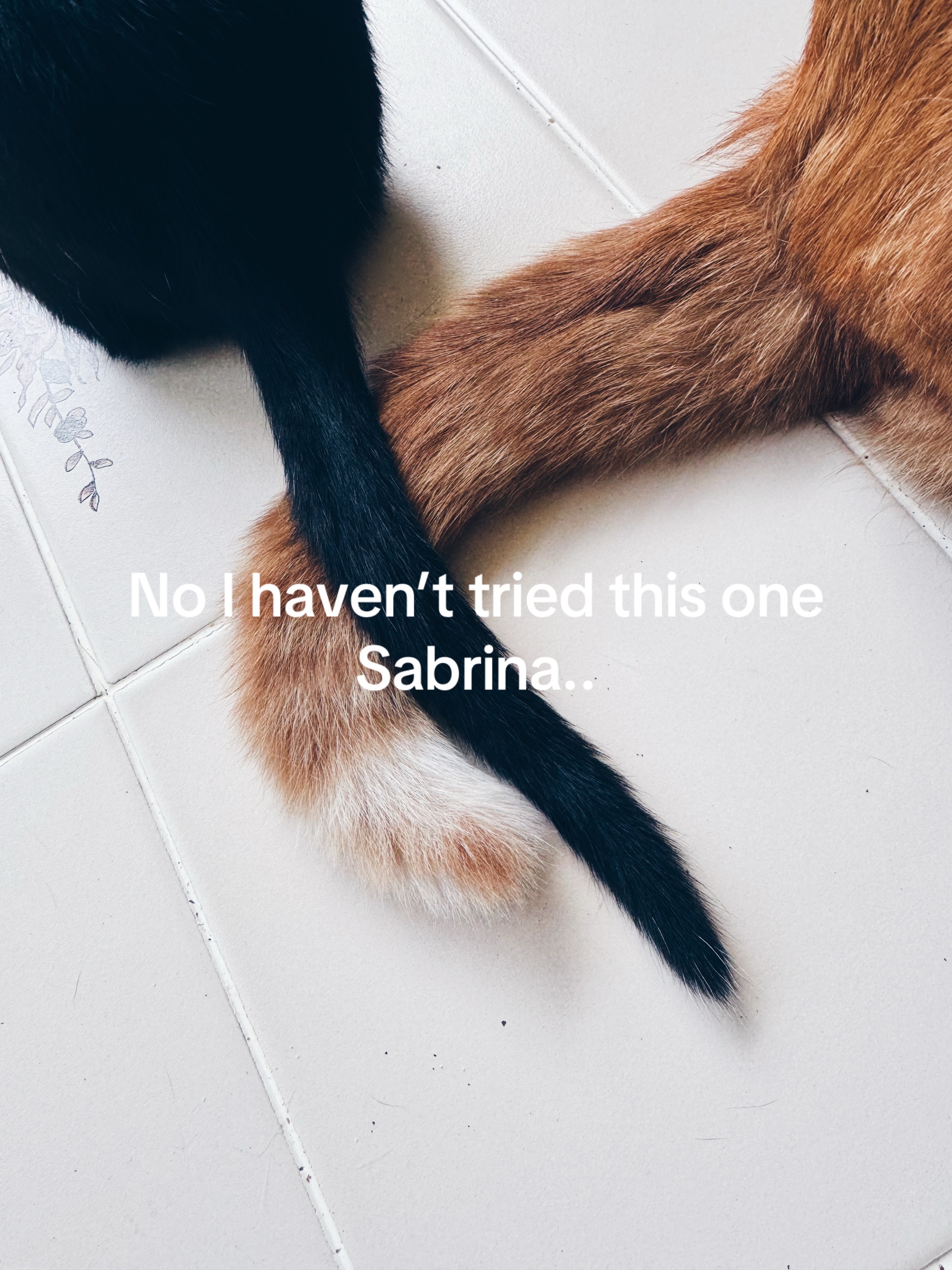 @Jaci🎀🕸️