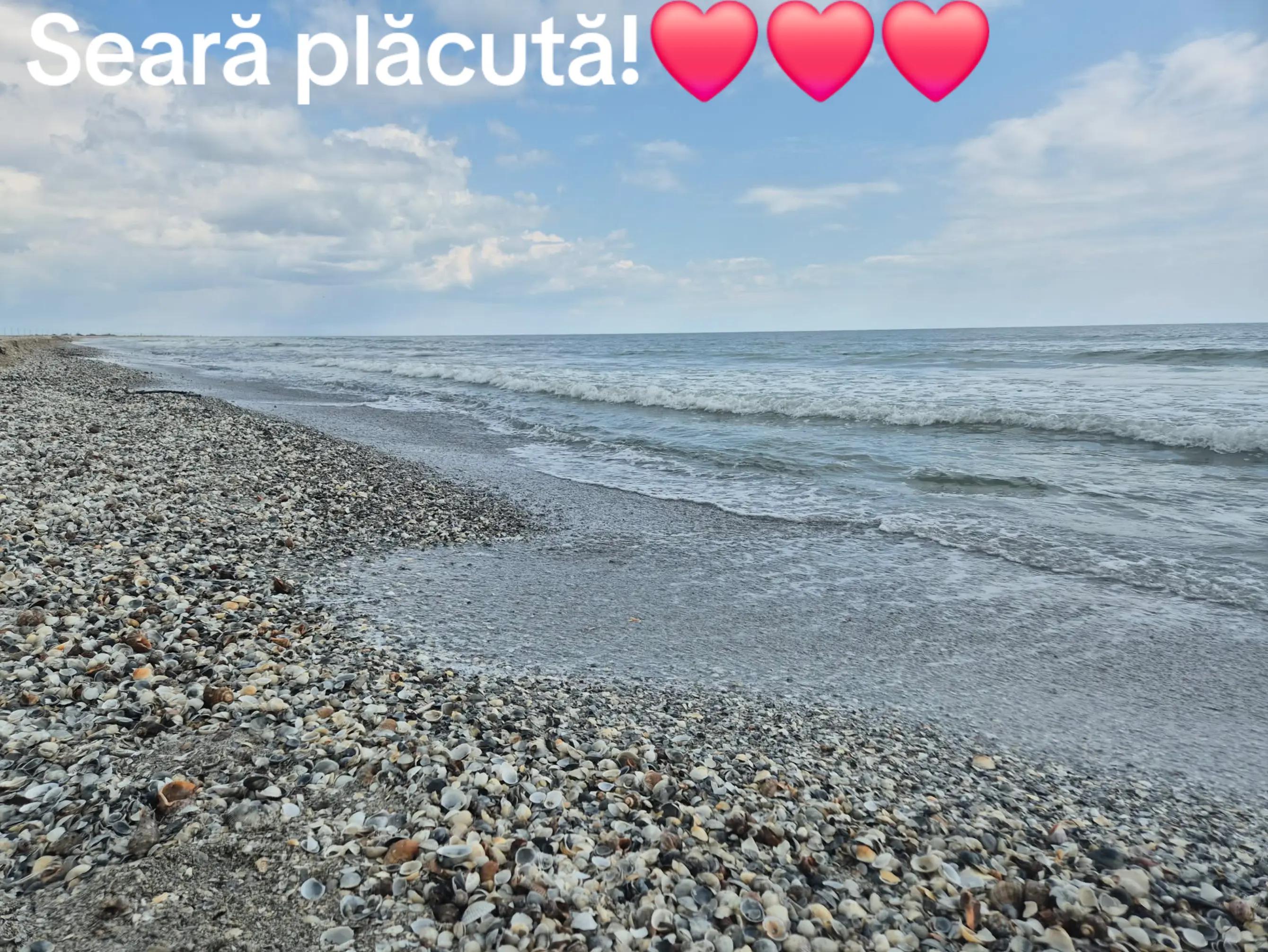 @Elena Marinescu