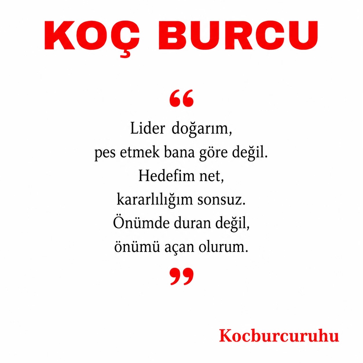 @kocburcu6