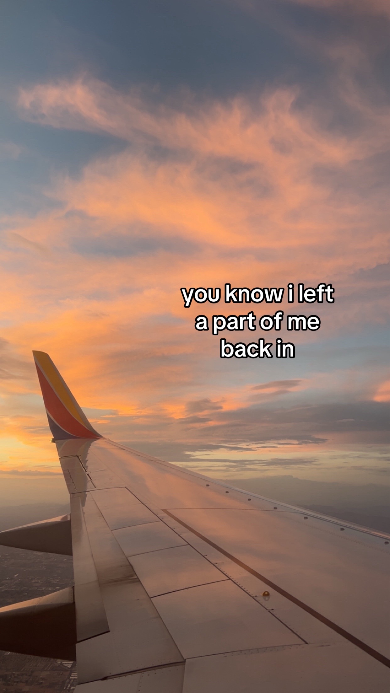 @riley 🕸️🕷️