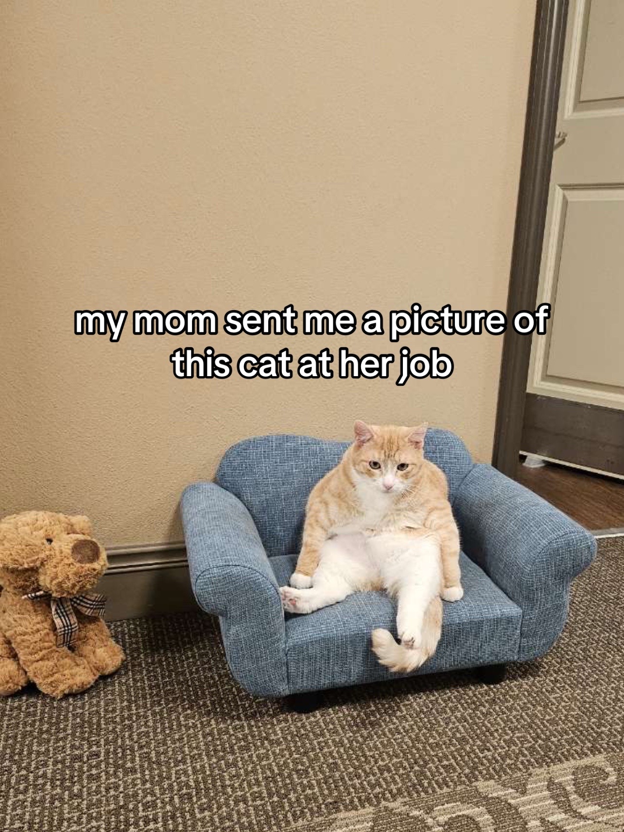 @rina 🐾