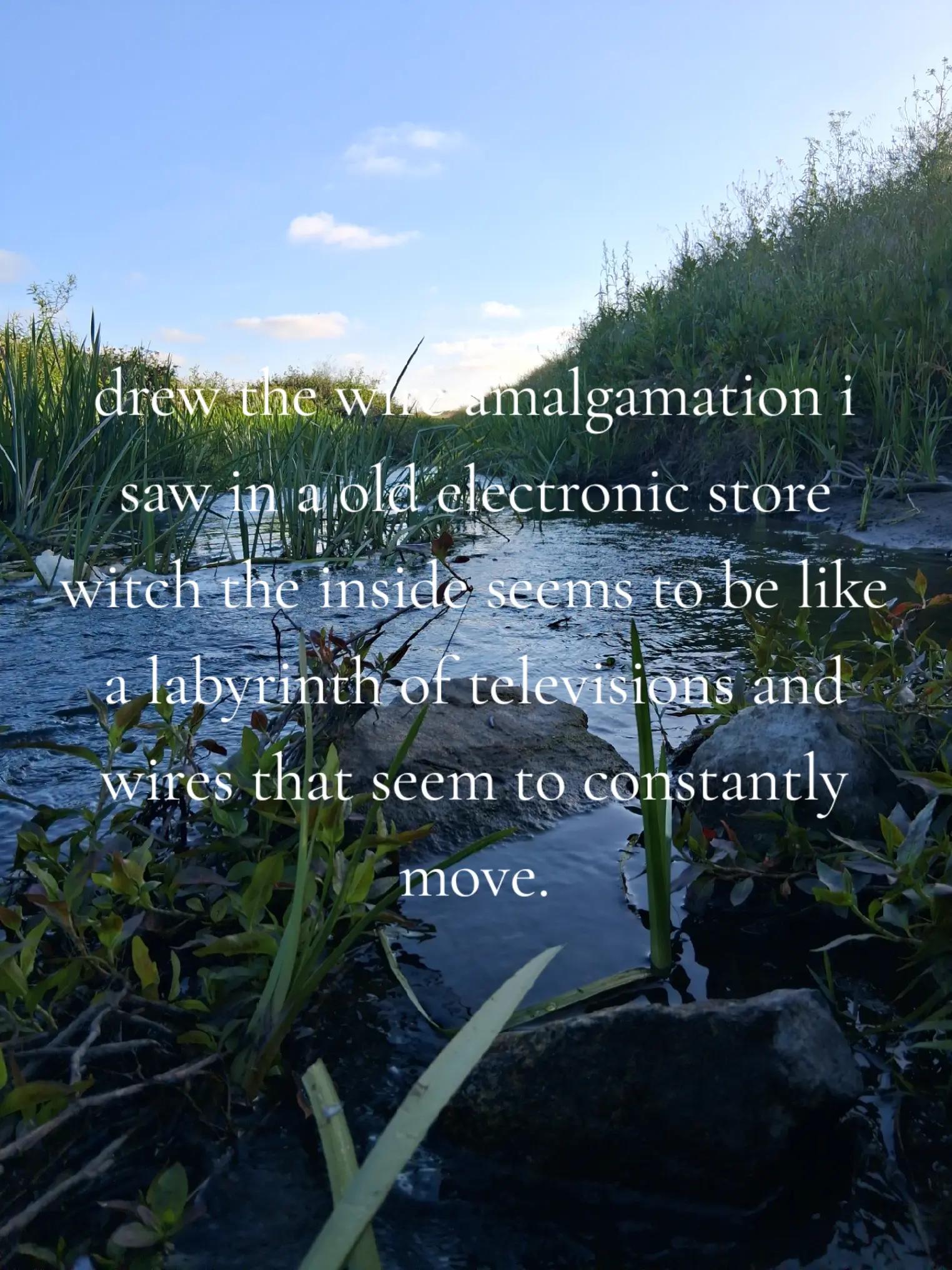 @[SCHIZOPHRENIC-TELEVISION]