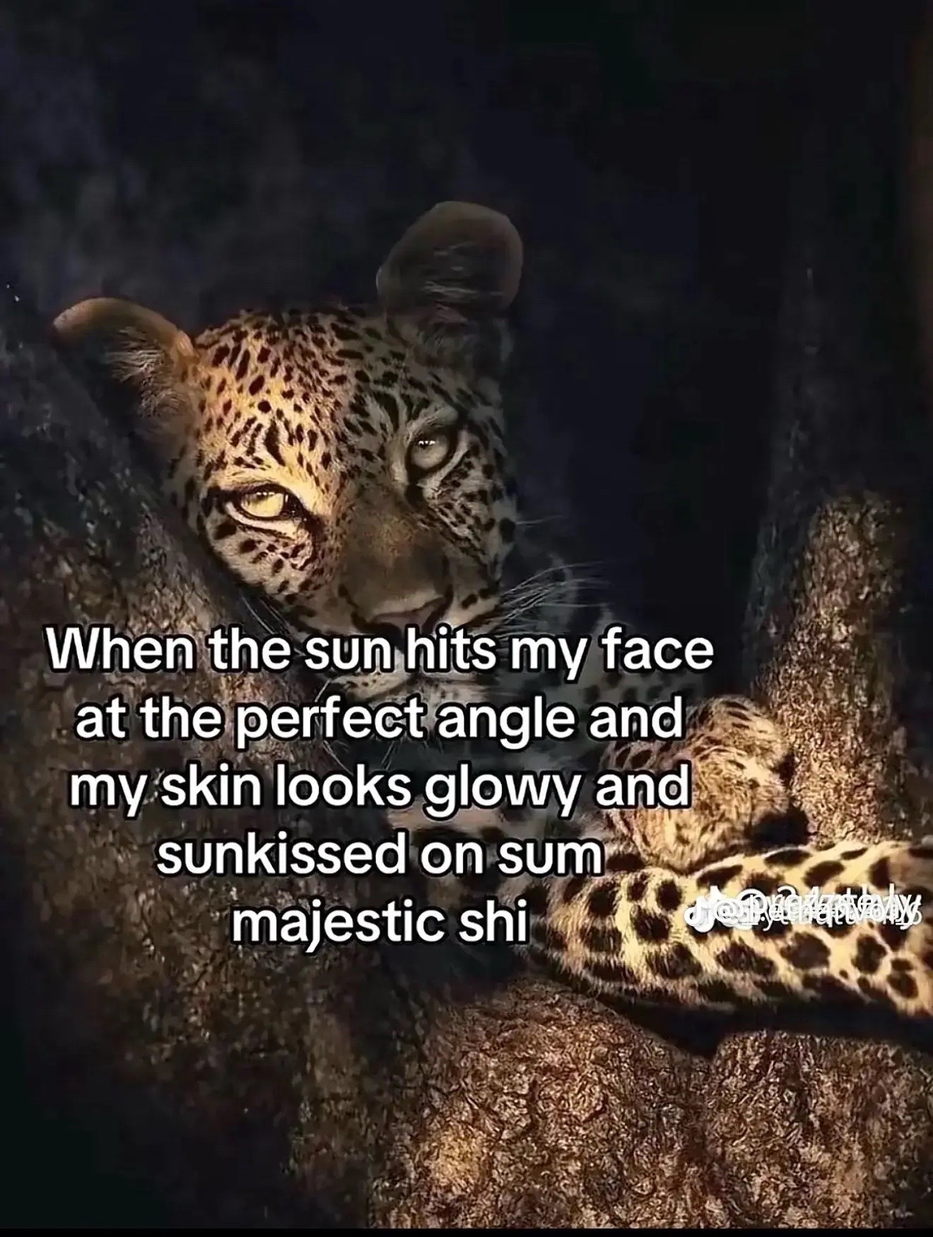 @anniya’s_diaries