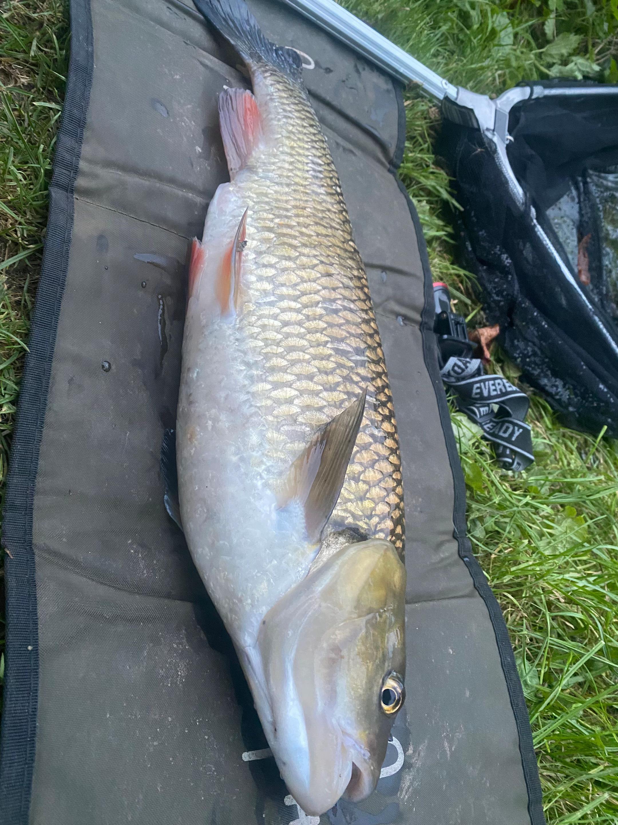 @🎣