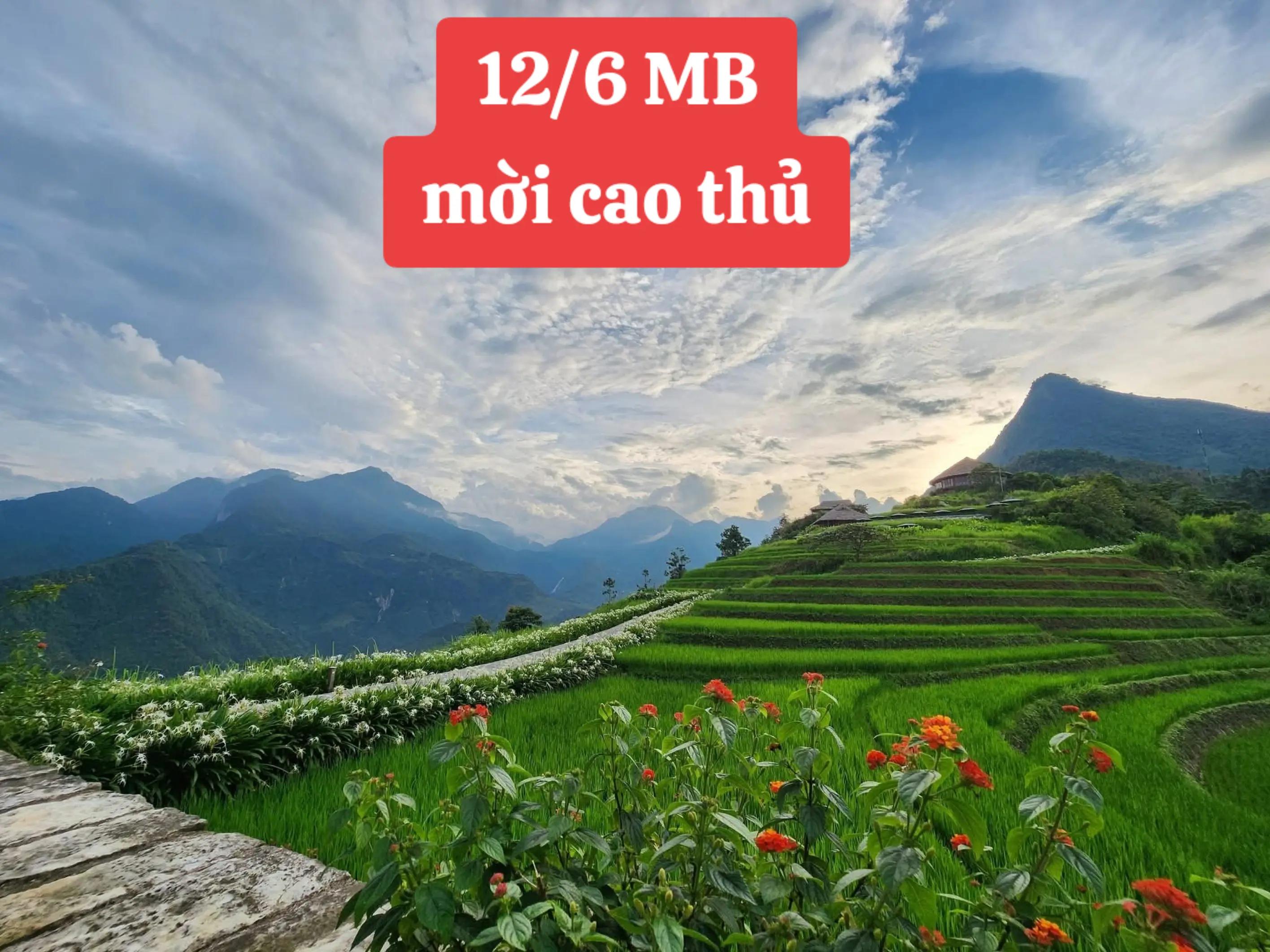 @Lê Miền Bắc