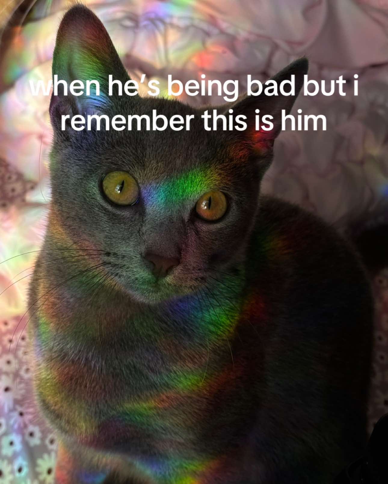 @miaawrld
