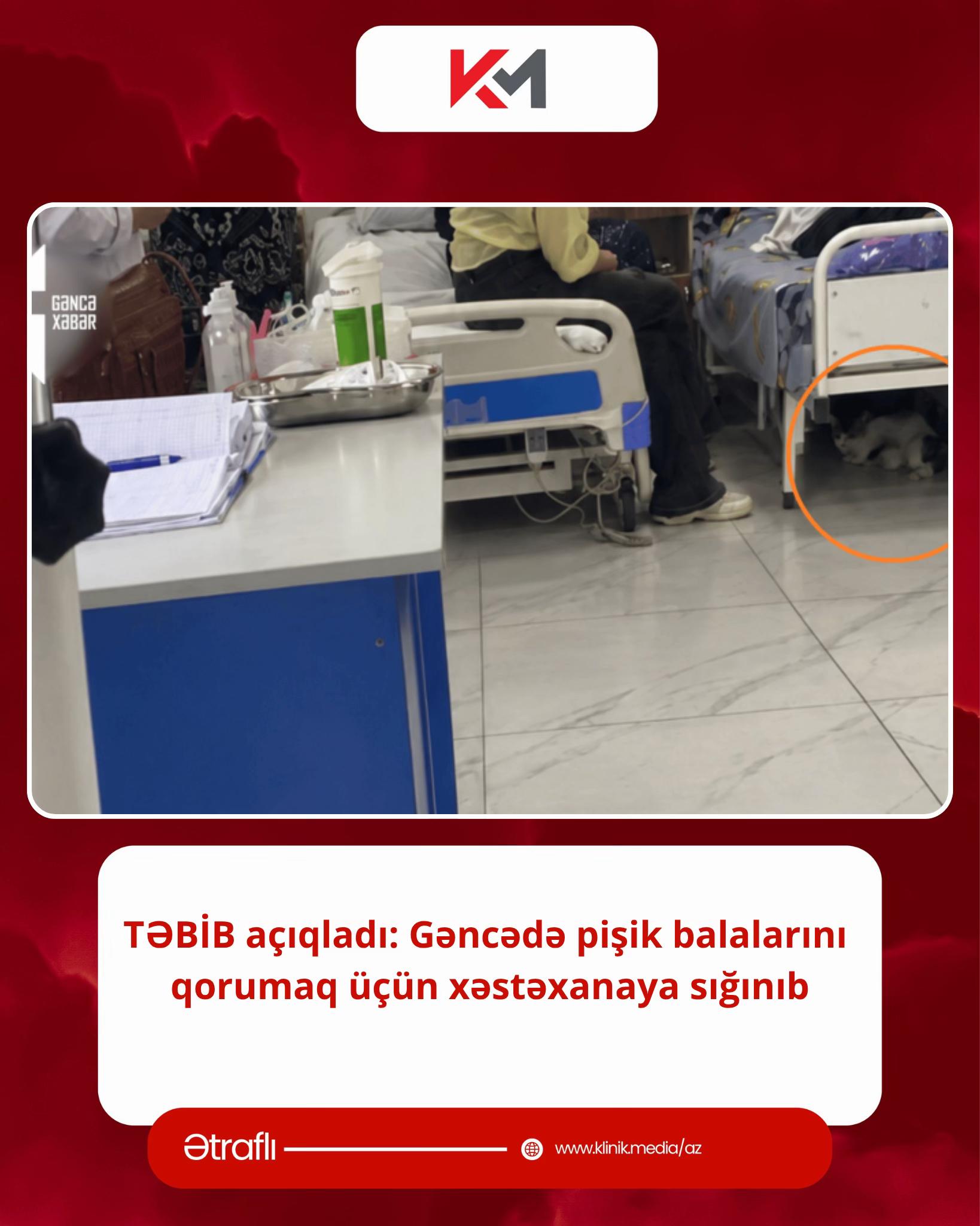 @klinik.media