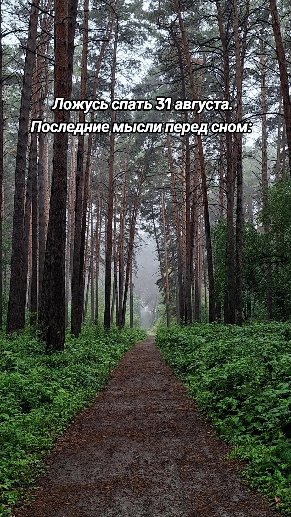 @Wolfgangovna