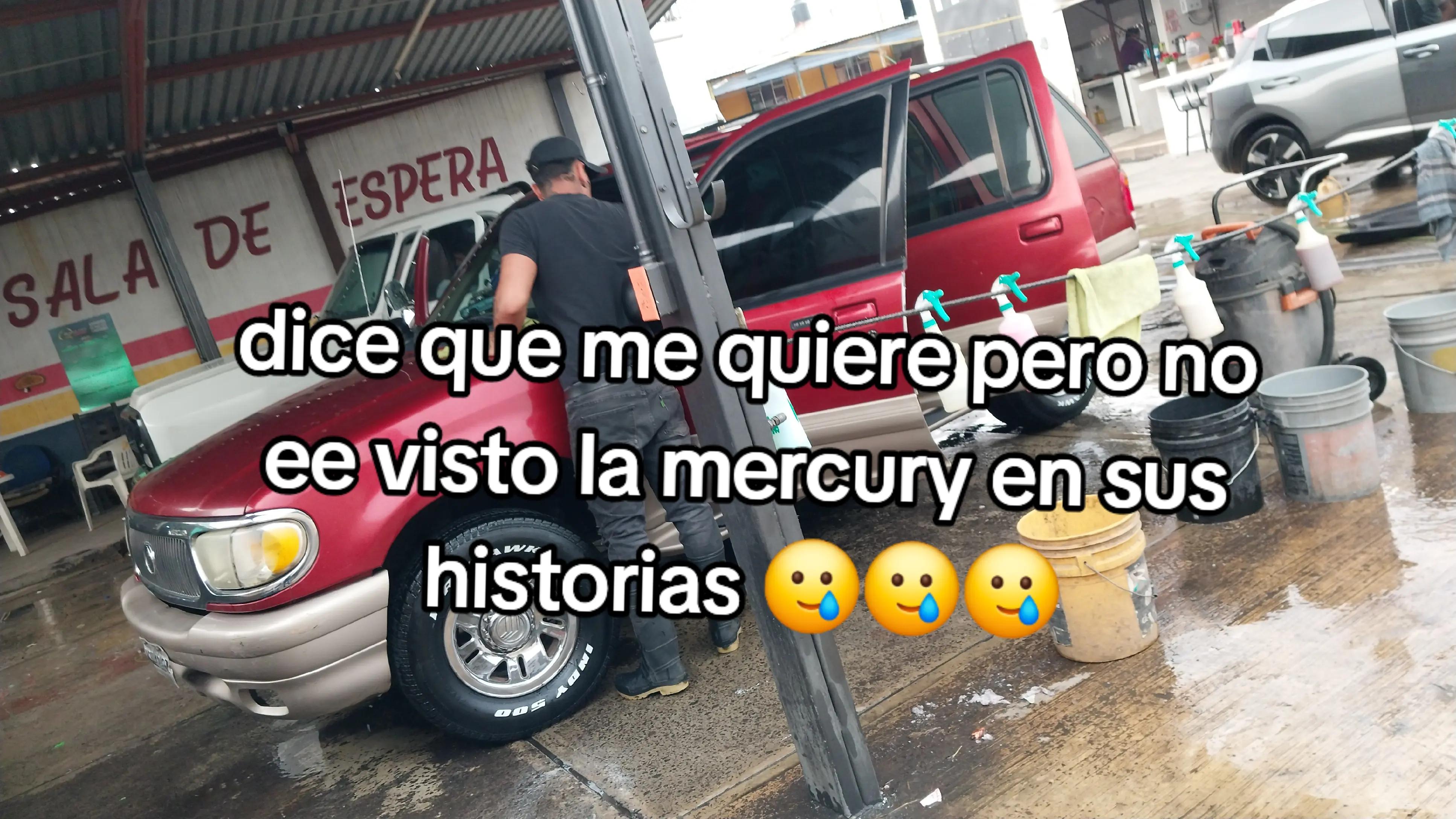 @Axel ALF🦍