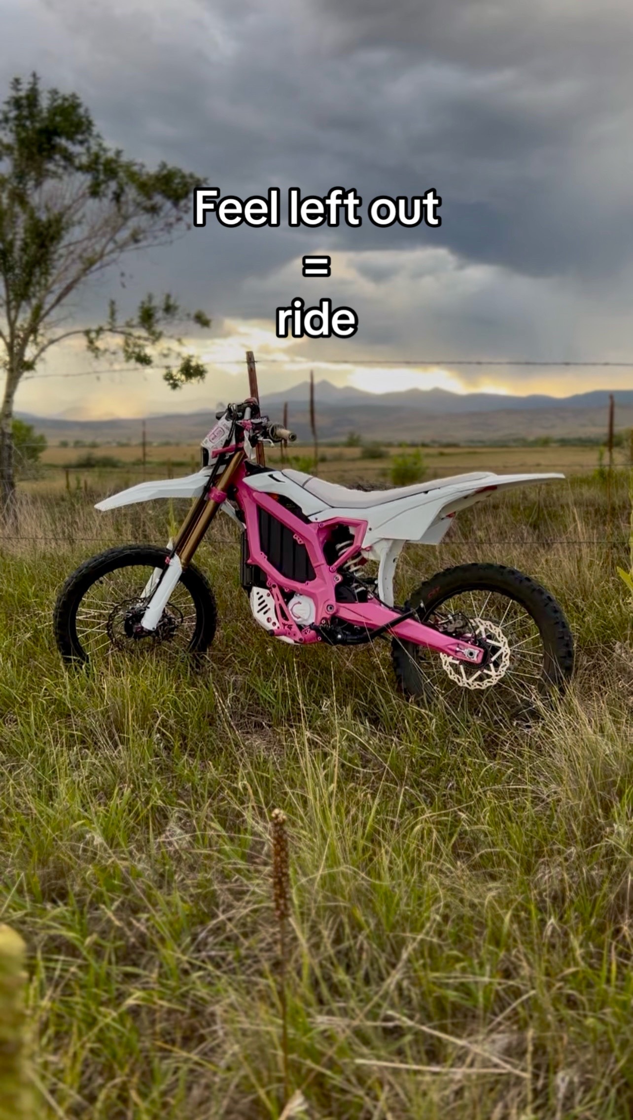 @blossombee999