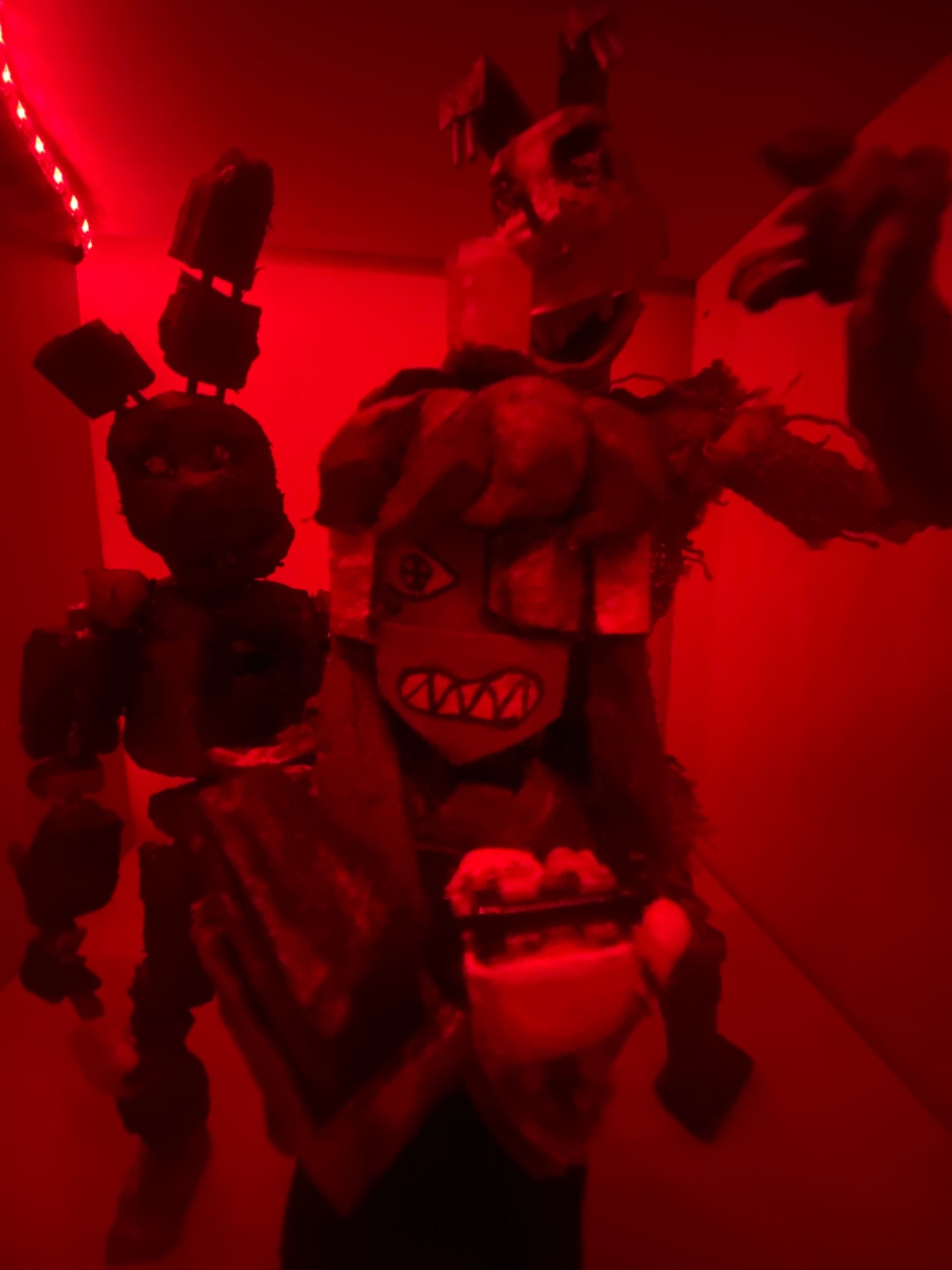 @projectsentry1