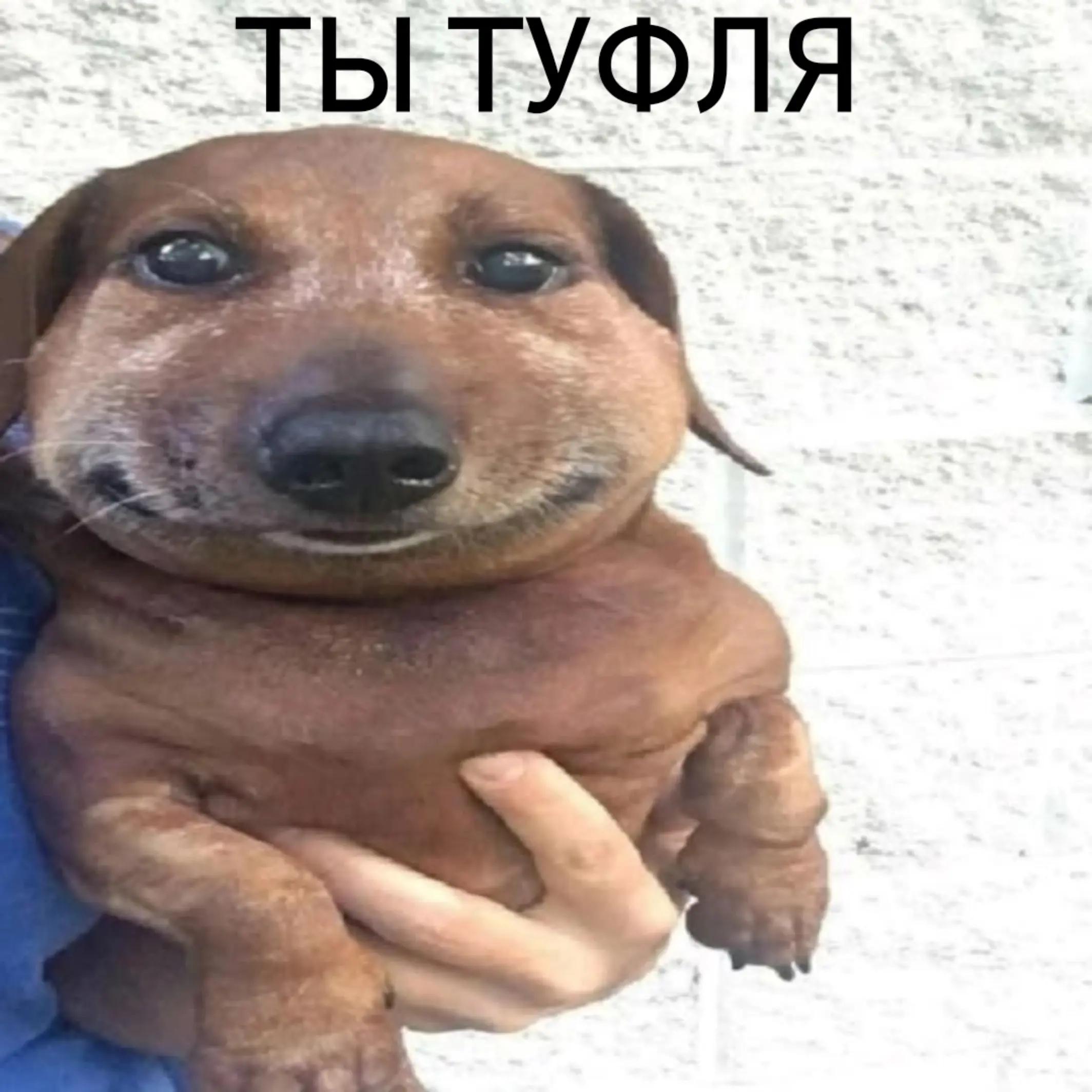 @xanax🩸