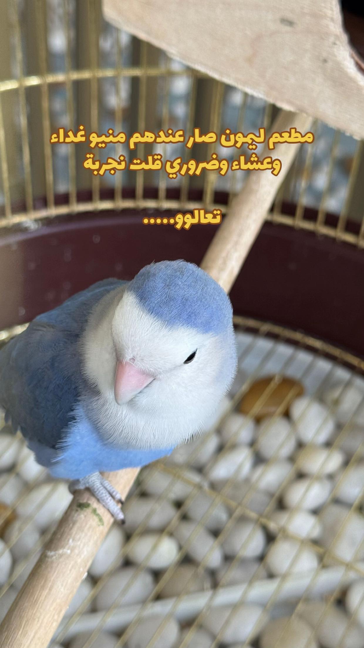 @مــــيــــم✨📸