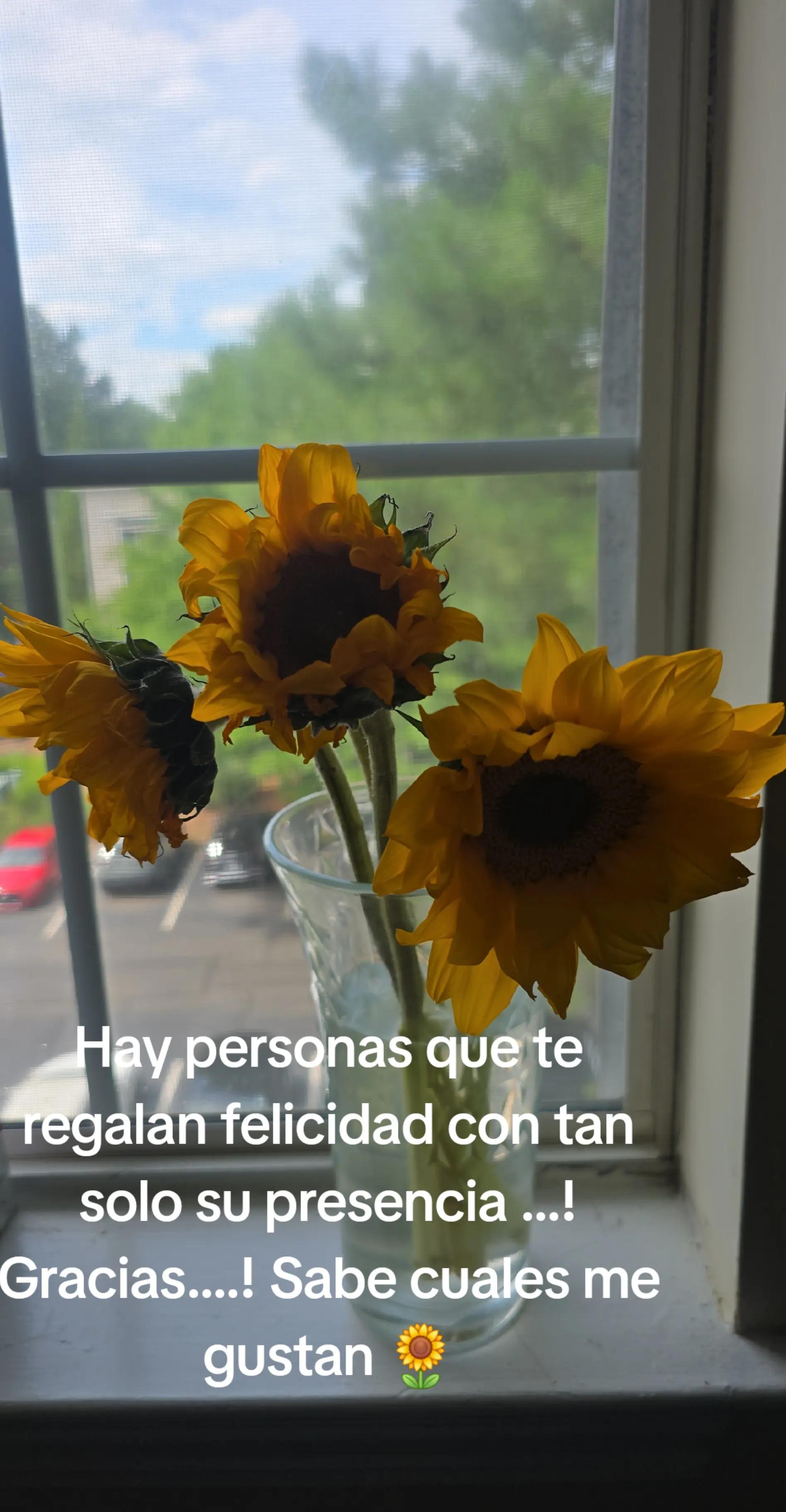 @🌻vivi🌻