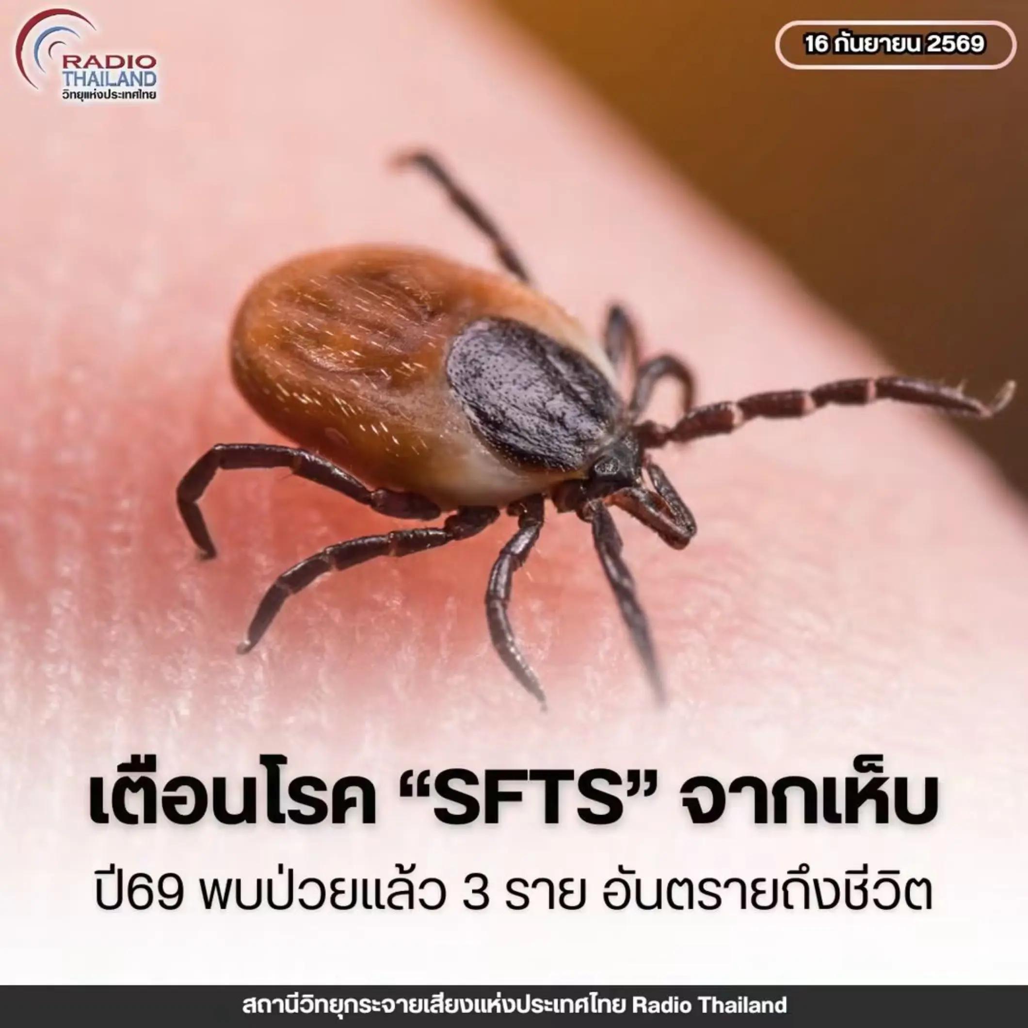 @° หมานิ้ง °
