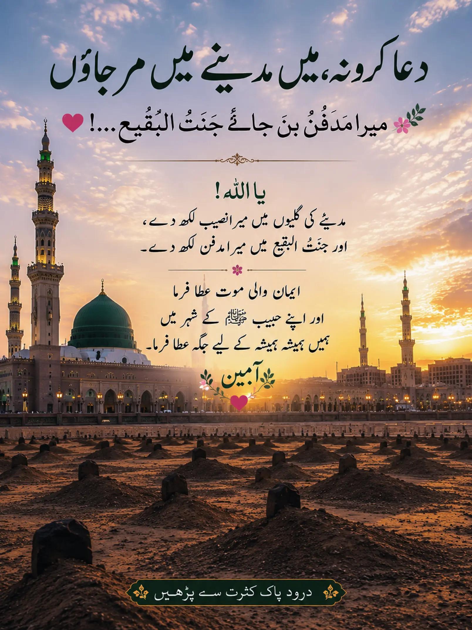 @Jannat Navid