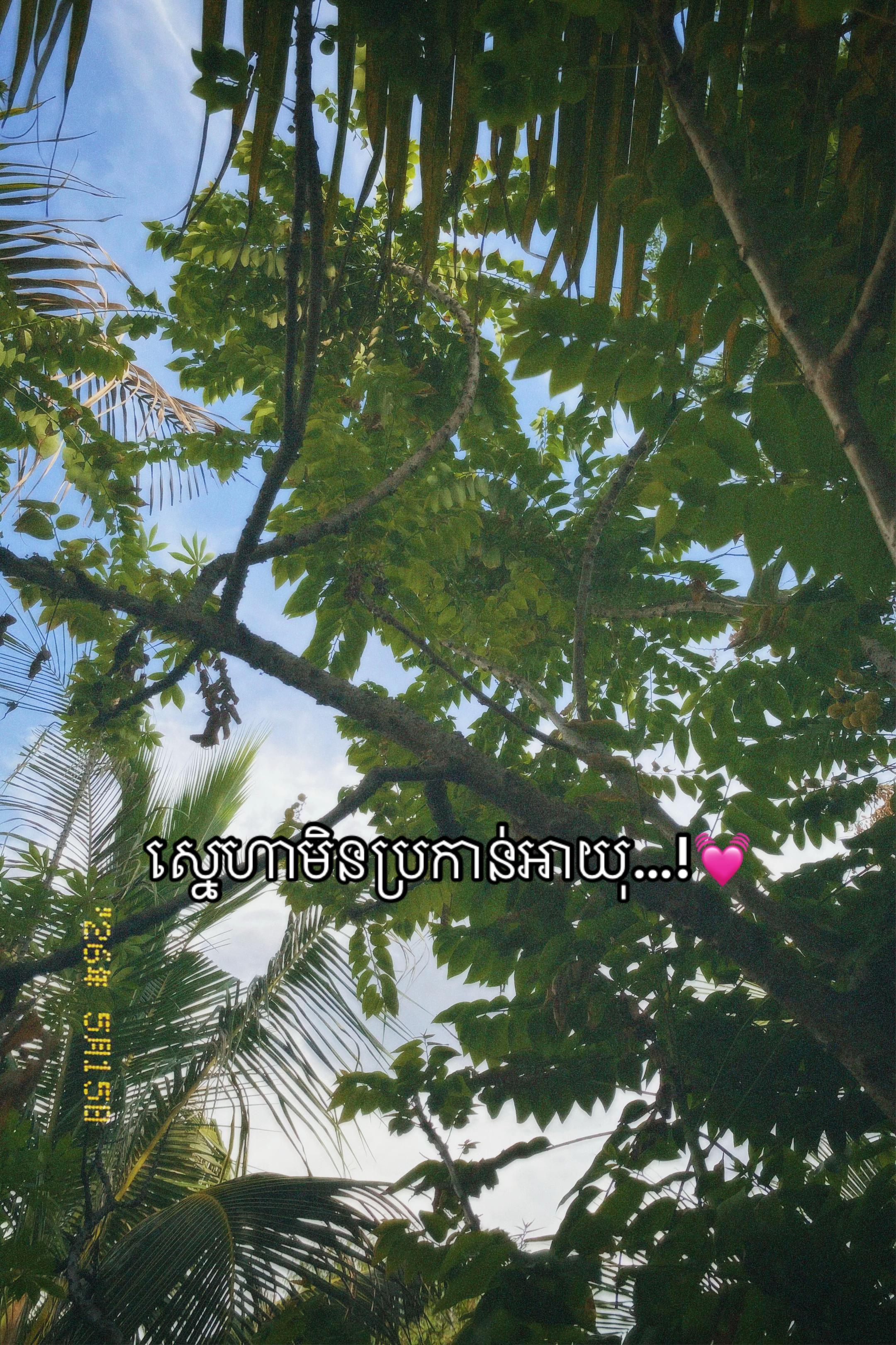 @ZA-แแถ๐ซ