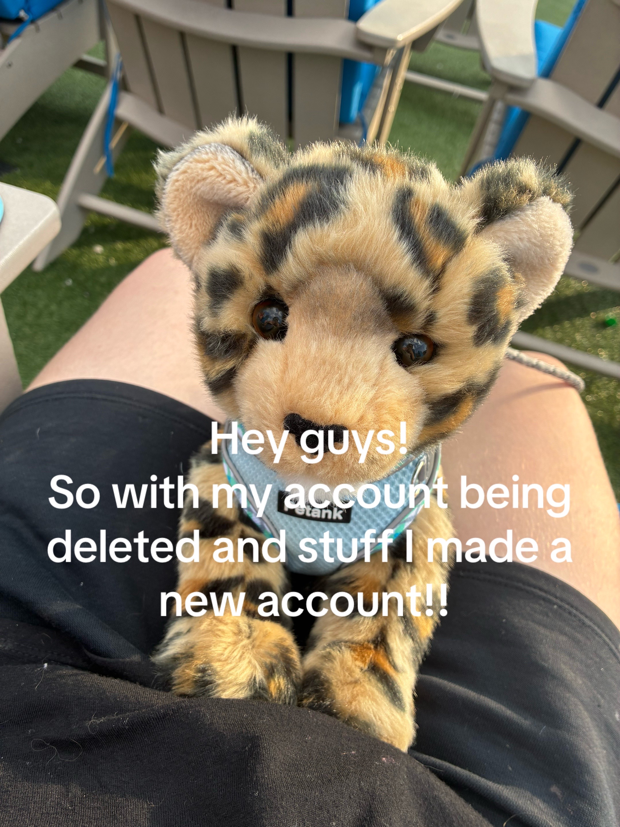 @~★🐾ᗪOᘜᑭᗩᗯՏ🐾★~