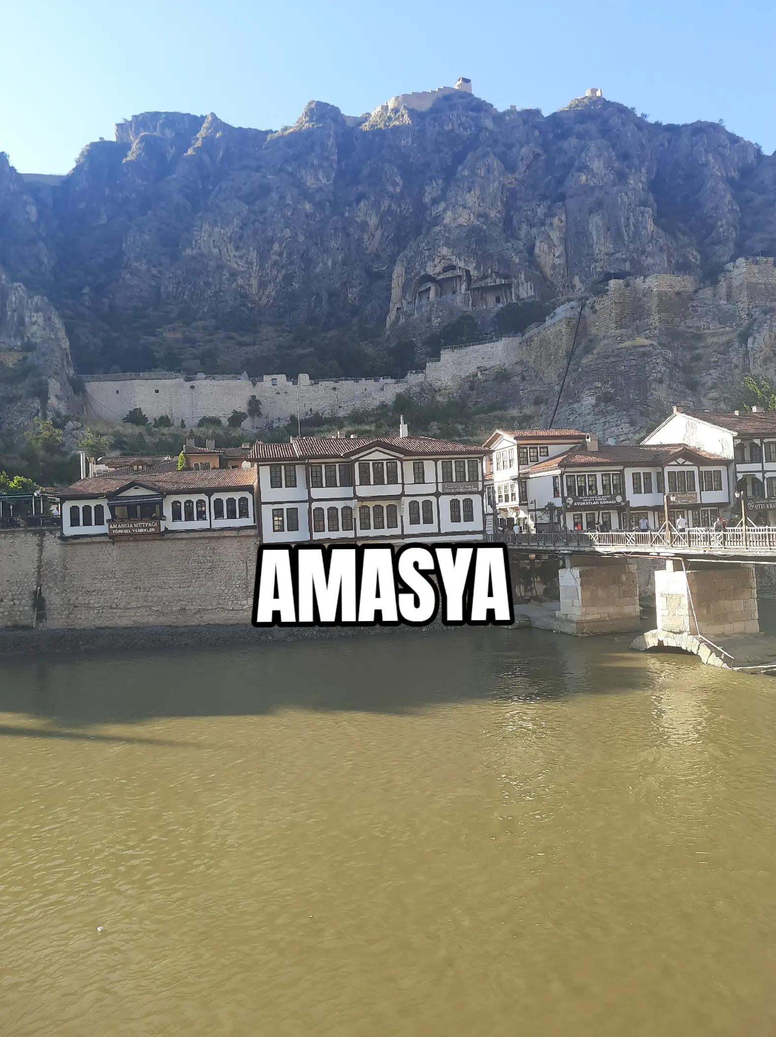 @Salih Arda Çal