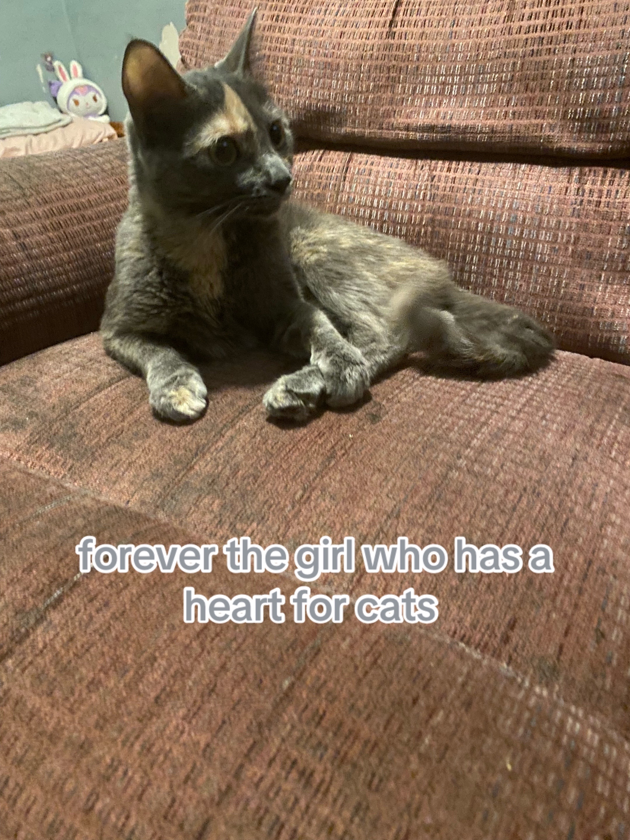 @myreality