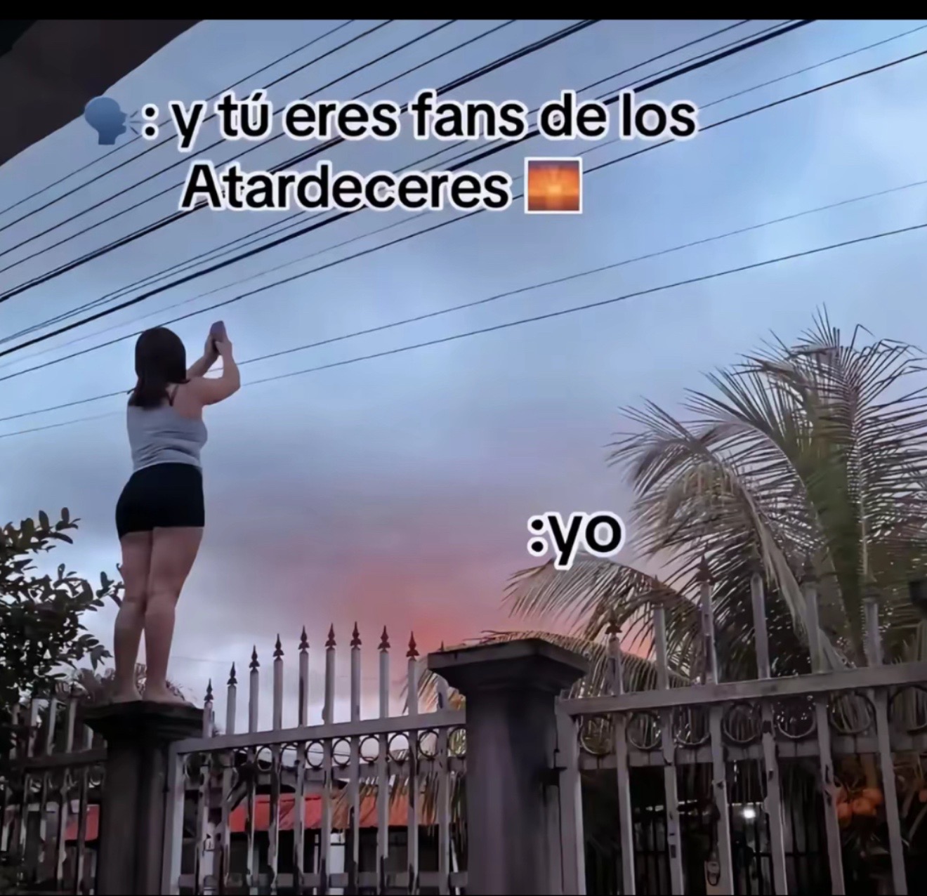 @Alejandra⚡️