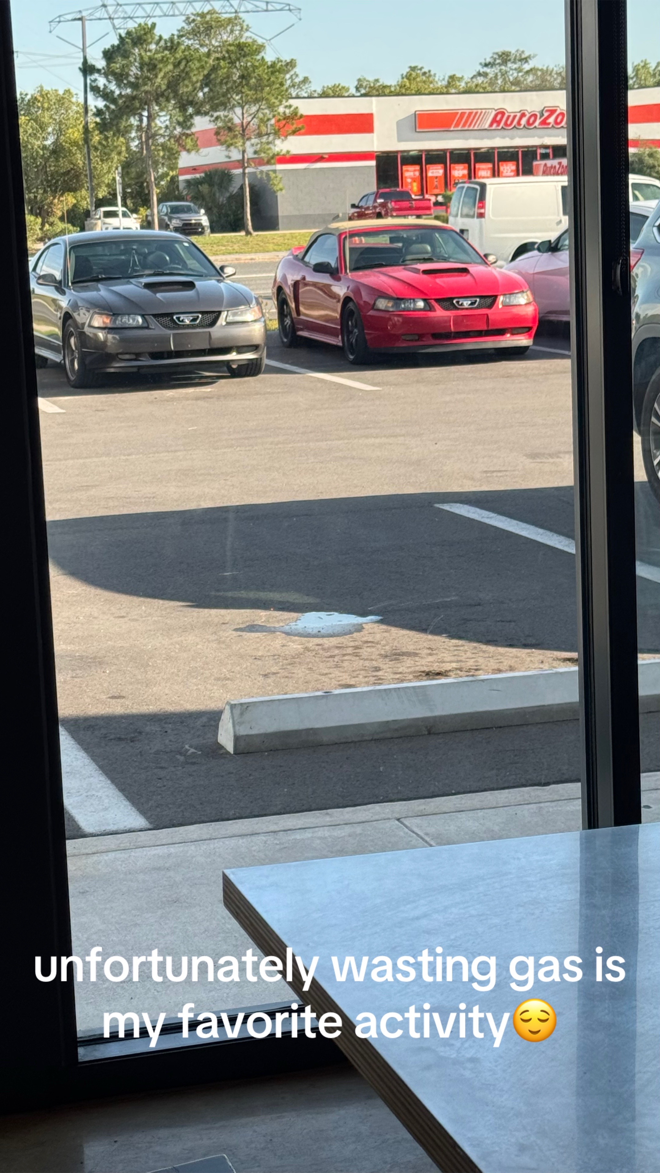 @that.new.edgemustang