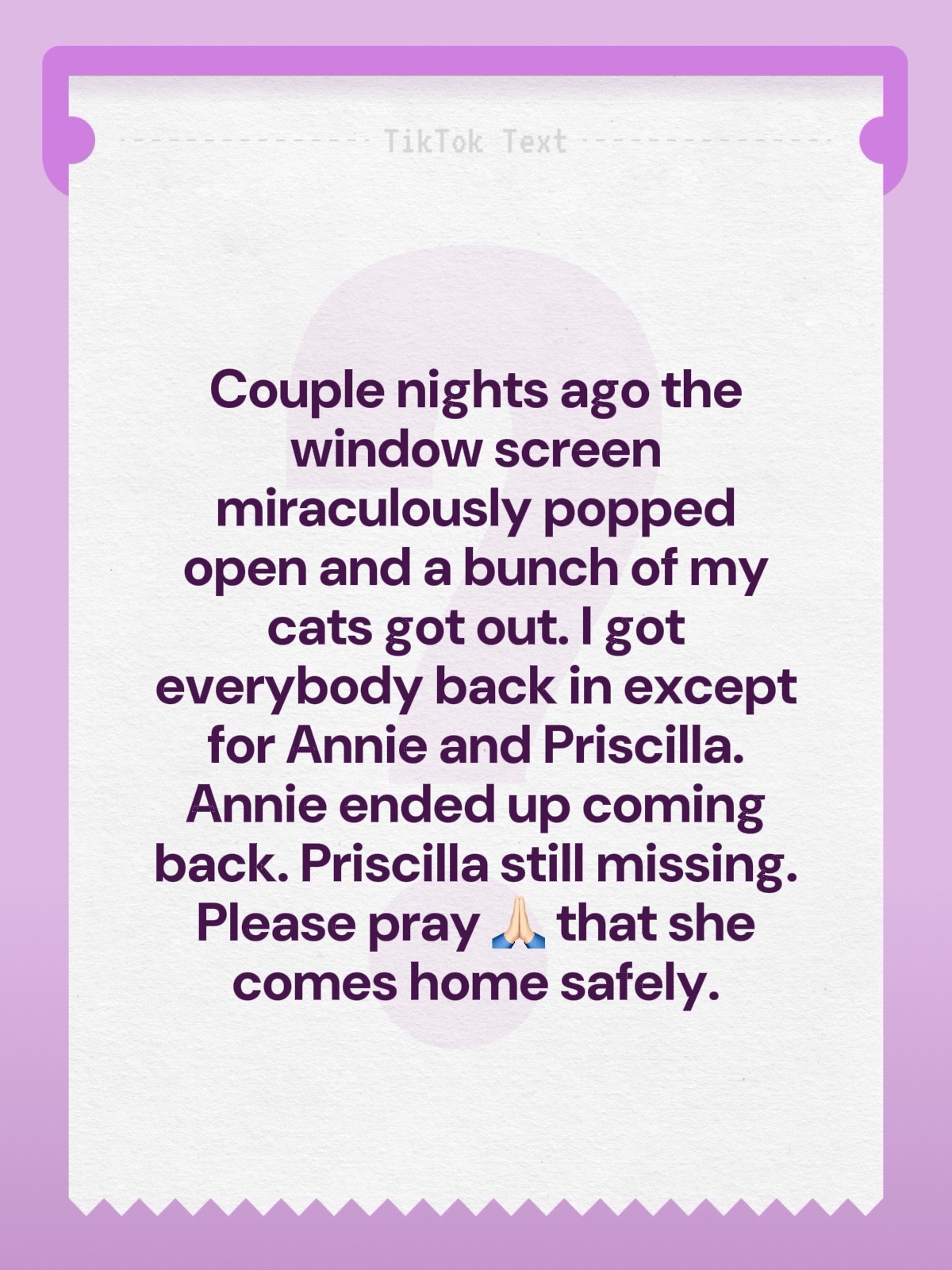 @catlover313official