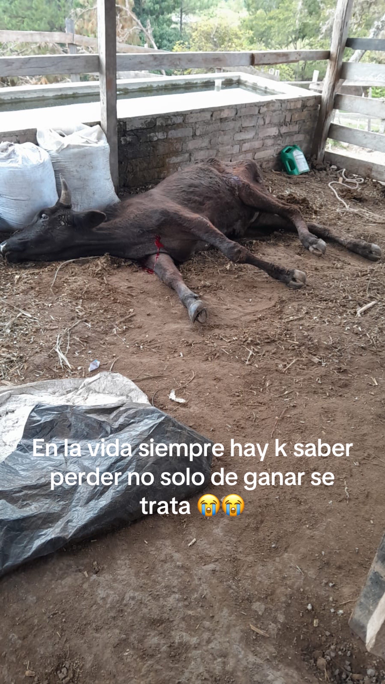 @Samir Buezo