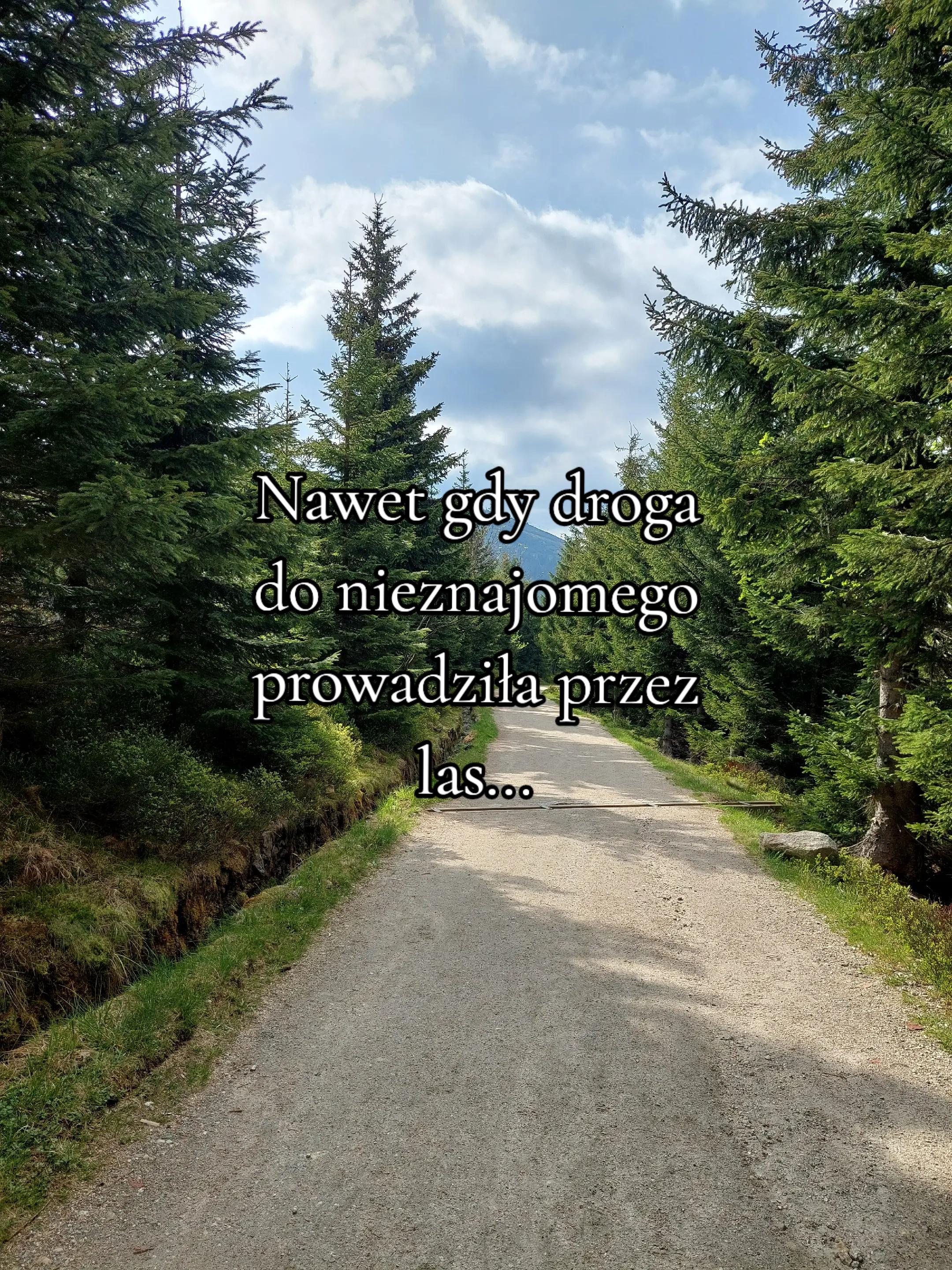 @pansz0p